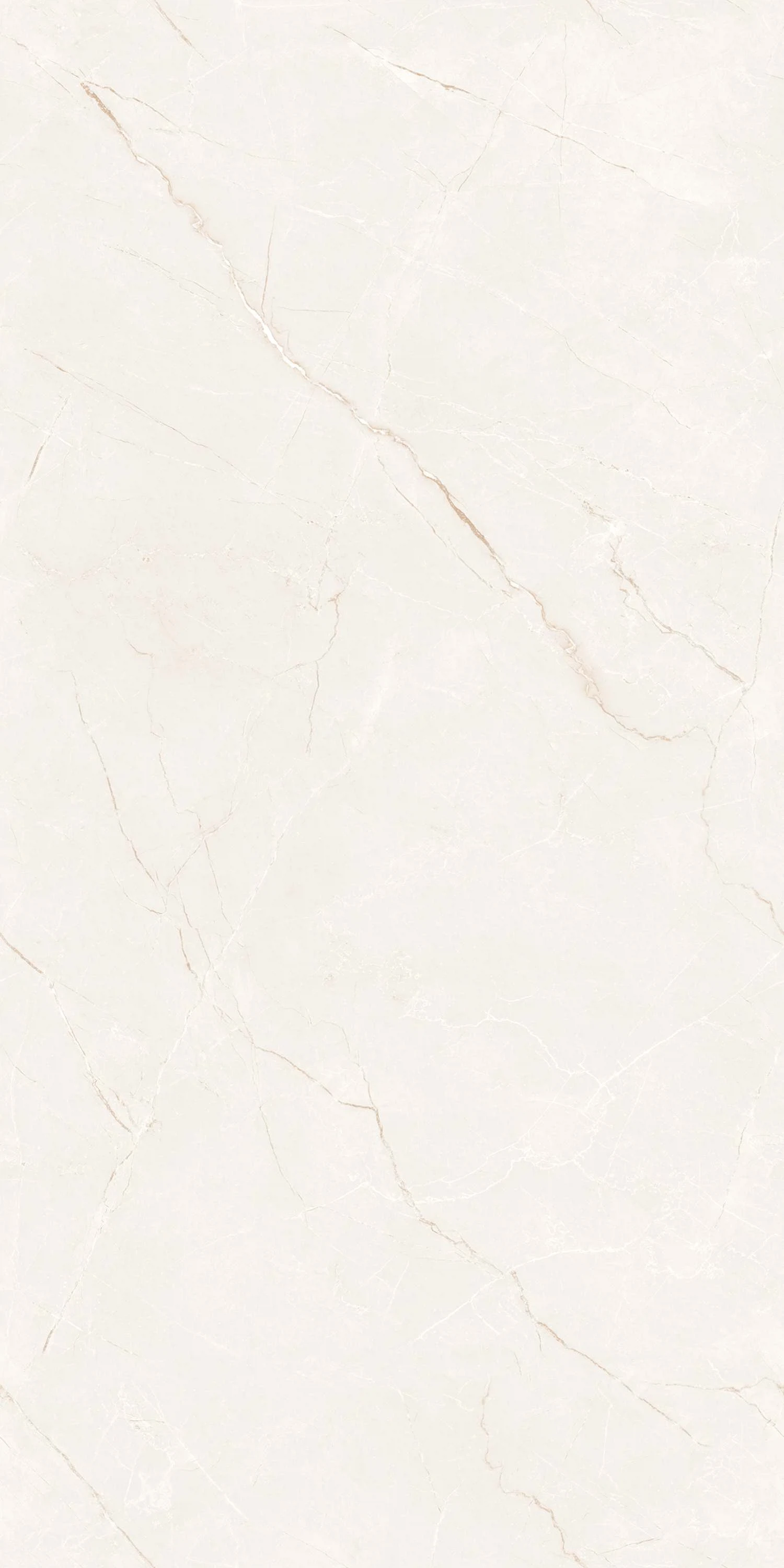 Изображение товара Керамогранит RICCARDI IVORY 60x120 под камень глянцевый Россия