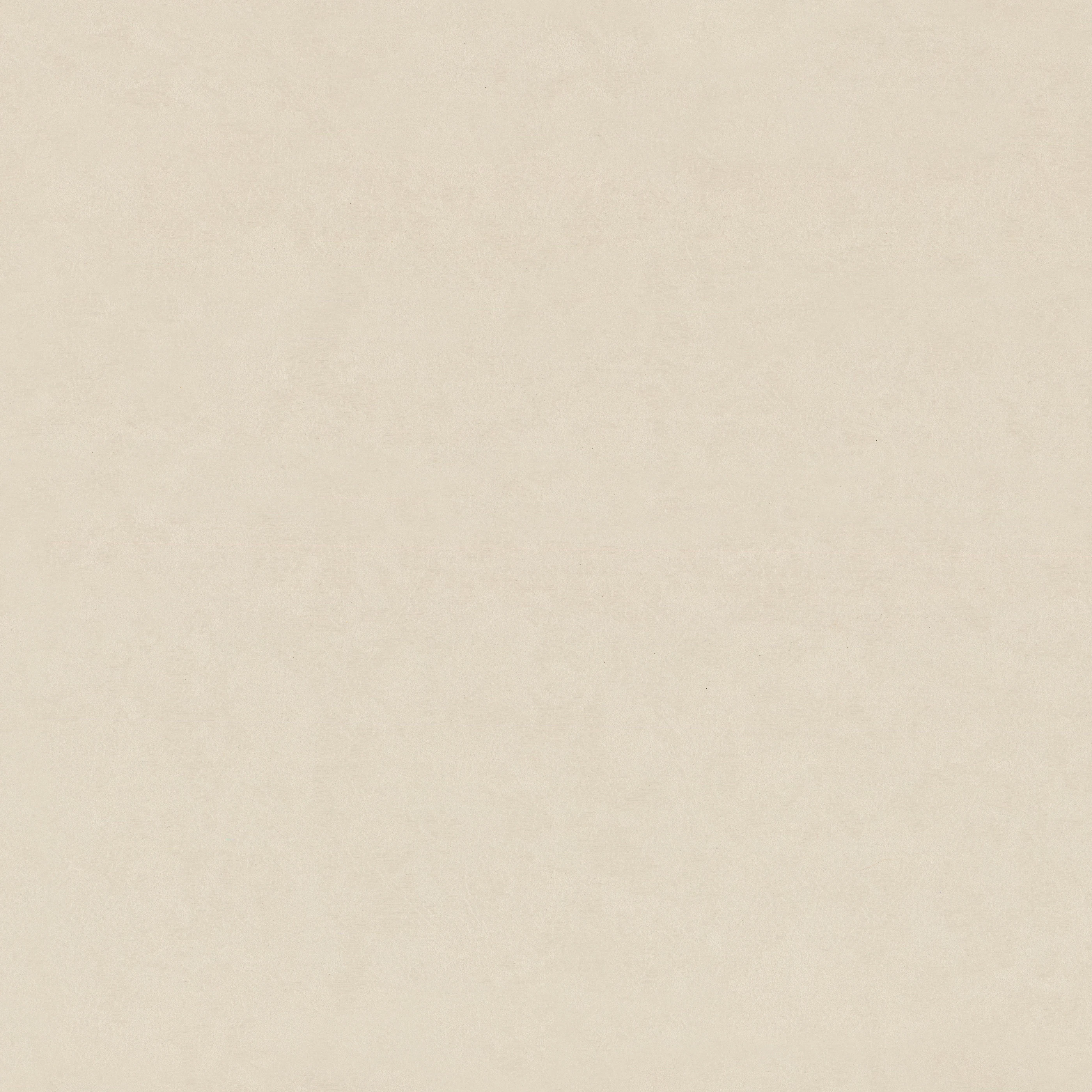 Изображение товара Обои флизелиновые Terra Euro Decor, бежевые, 1,06*10,05м, 7336-20