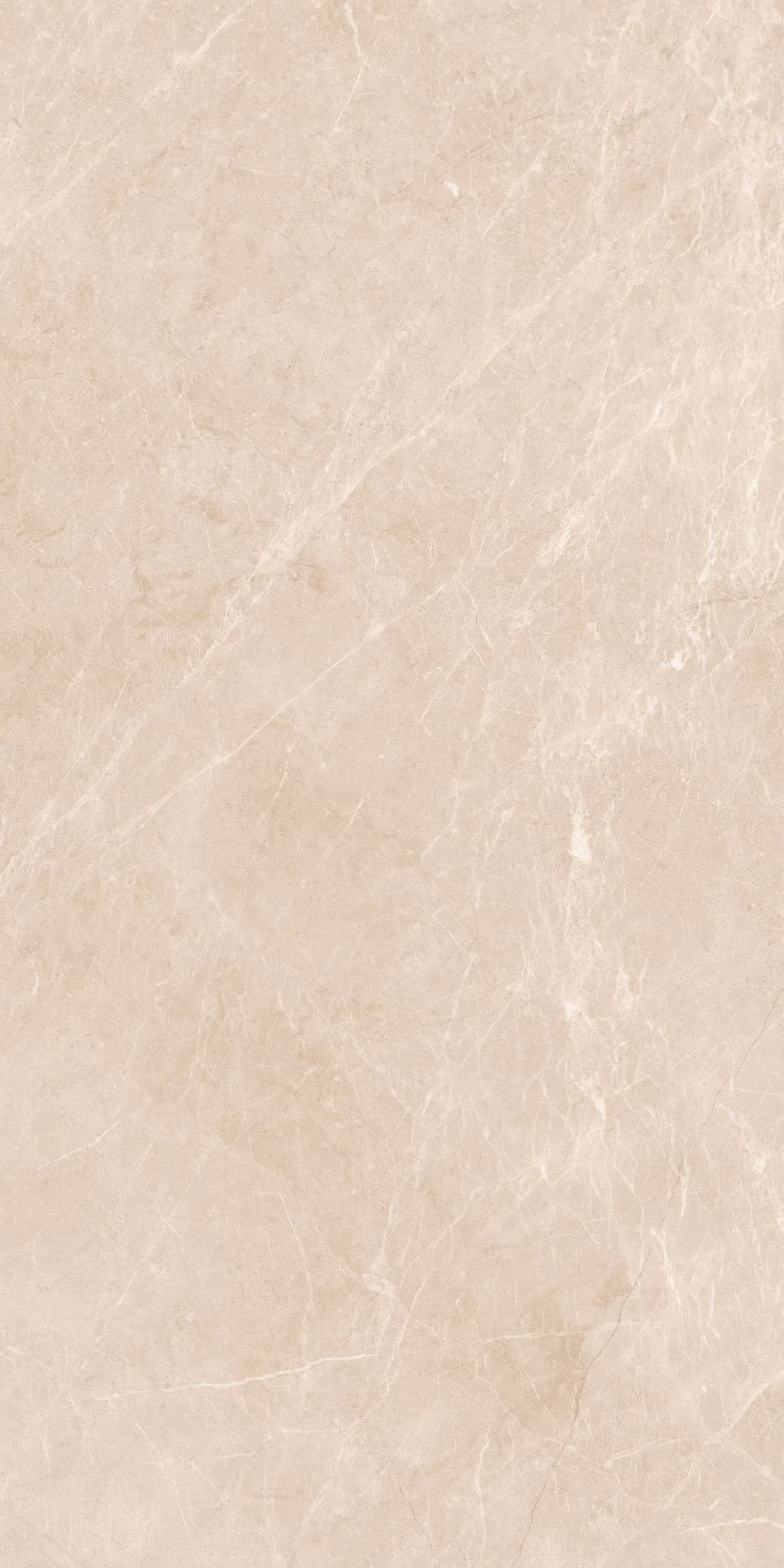 Изображение товара Керамогранит Belleza XPERIA IVORY (DECK) 60х120