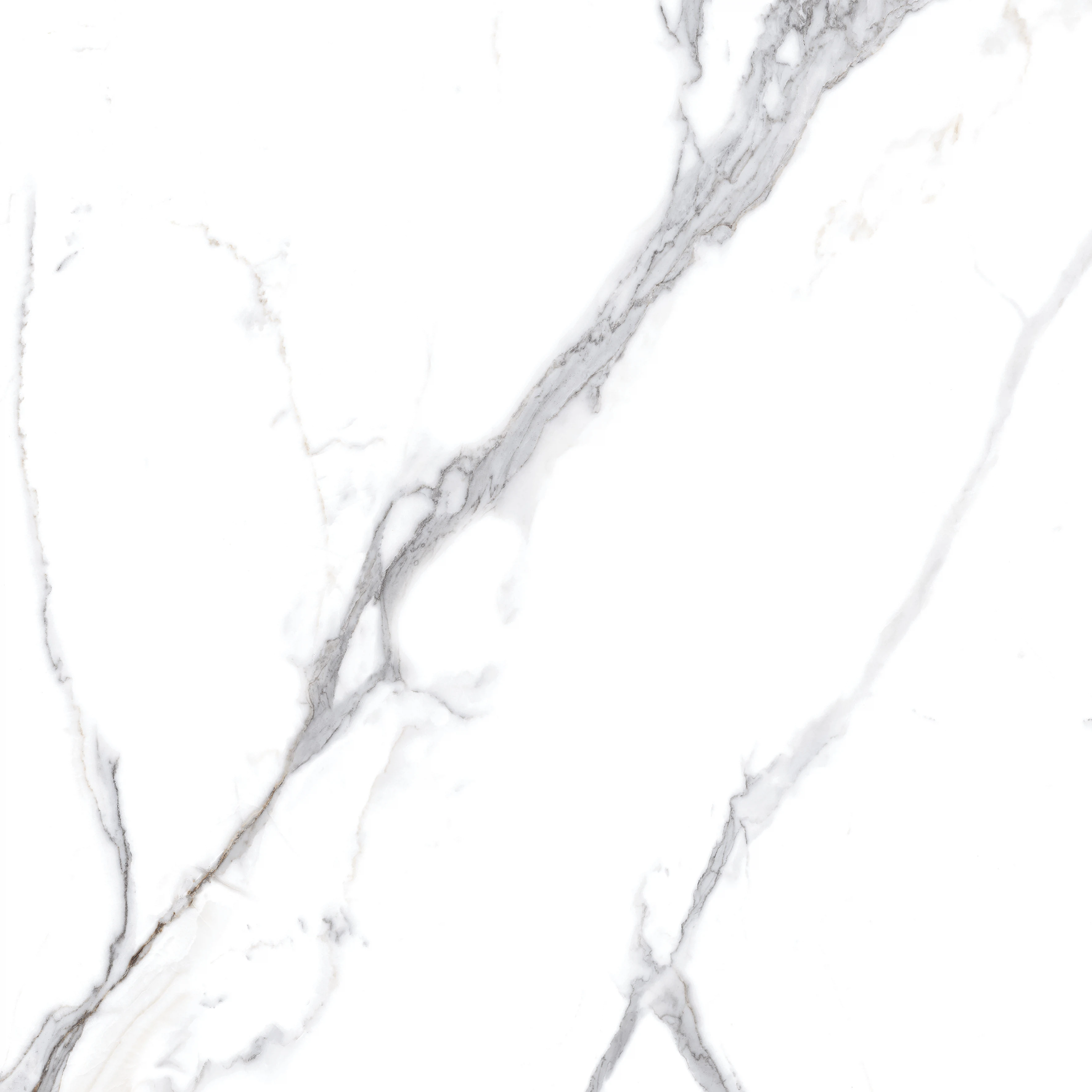 Изображение товара Керамогранит Calacatta Splendid Silver 60x60 полированный для пола и стен