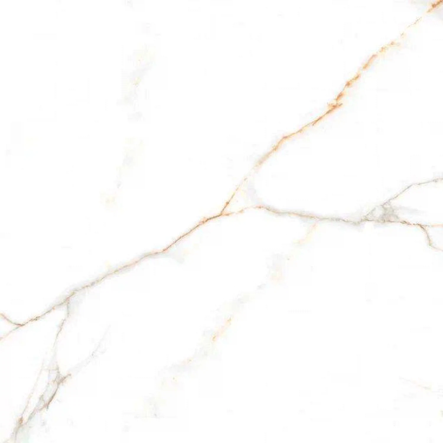 Изображение товара Керамогранит AUSTRAIN NATURAL (GLOSSY) 60х60