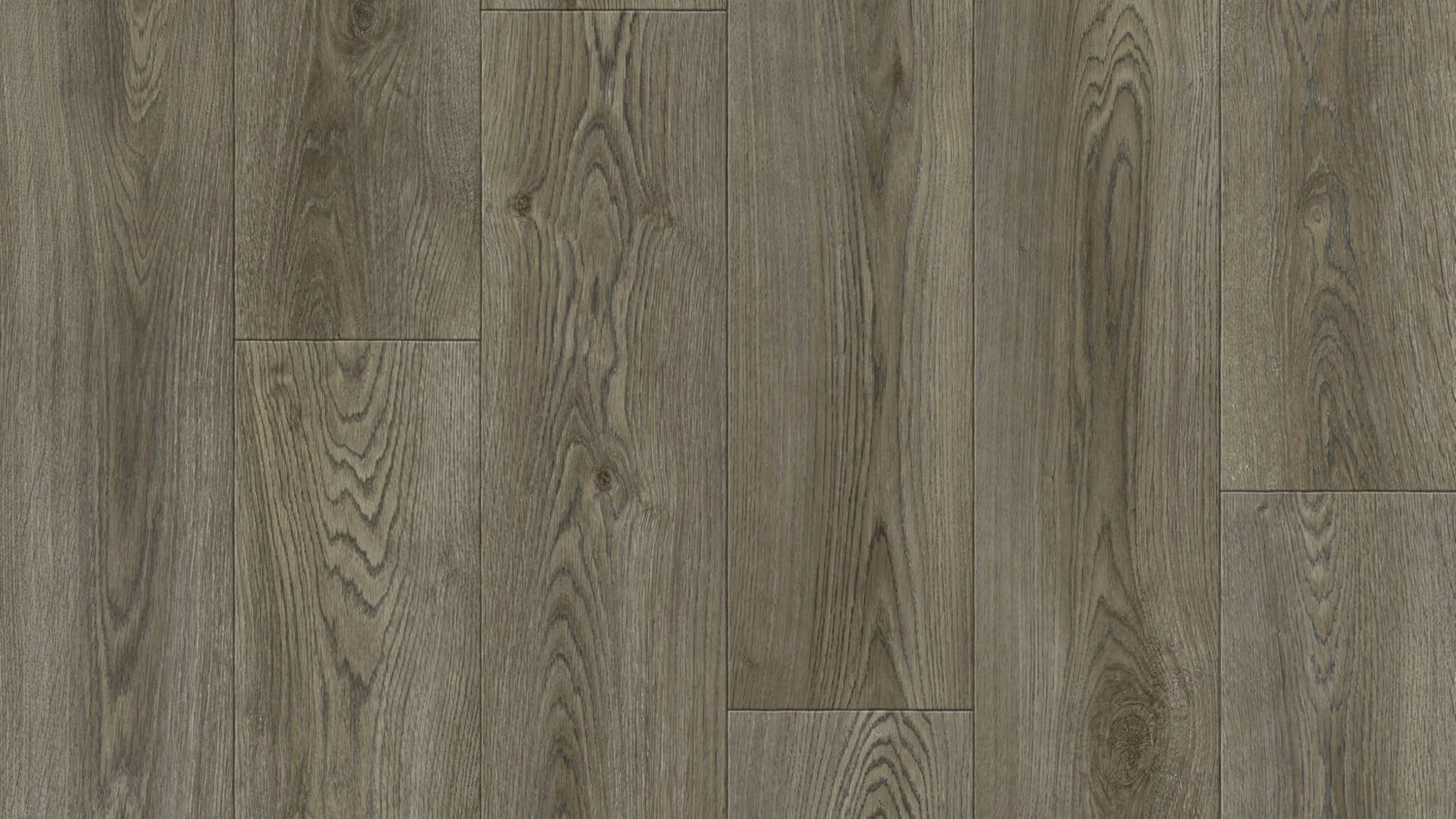 Изображение товара Линолеум полукоммерческий Tarkett 32 класс Клаб Эвора 2, 3м