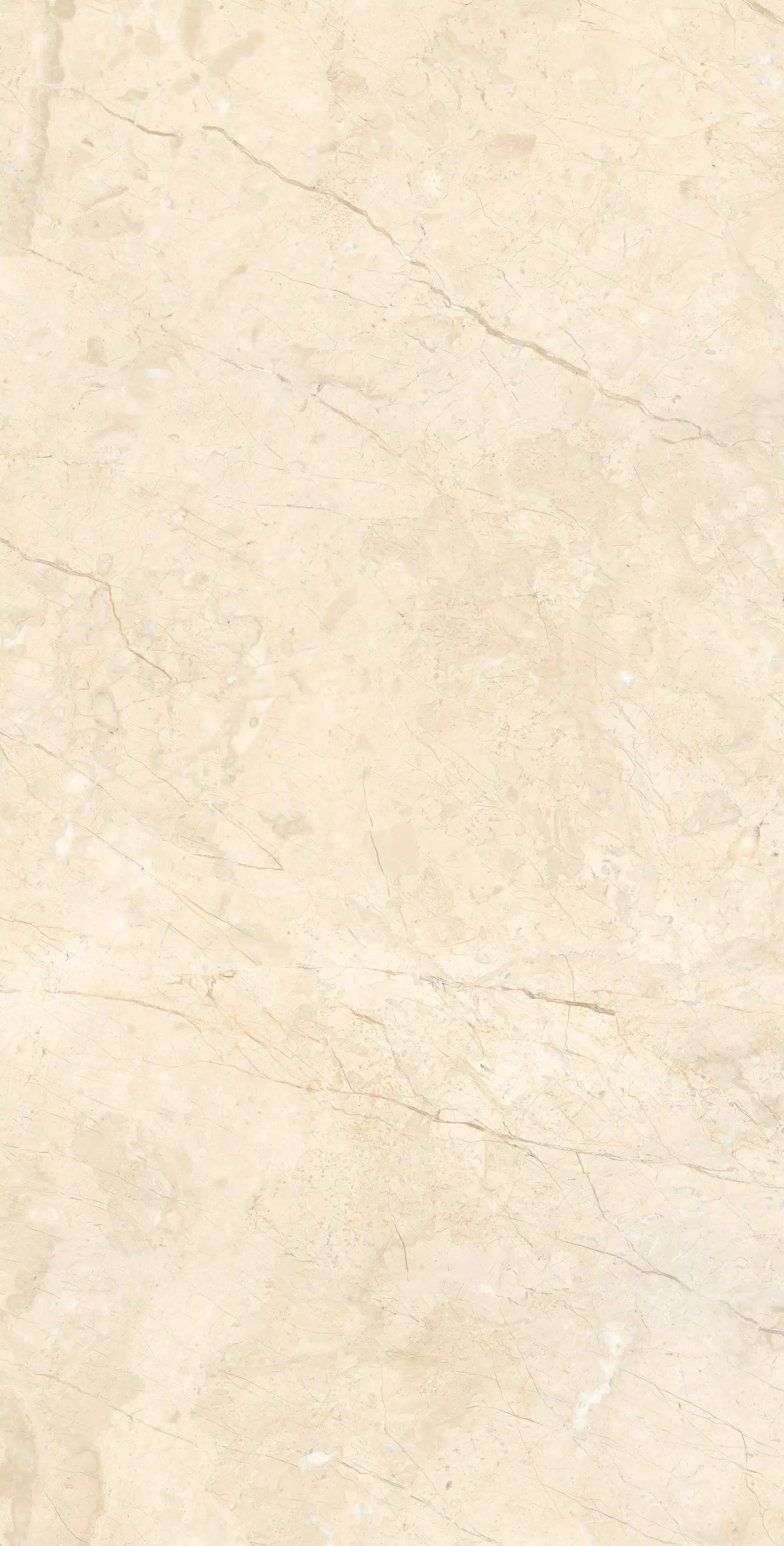 Изображение товара Керамогранит Arcadia Ceramica MARCUS CREMANO 60x120 см для пола и стен