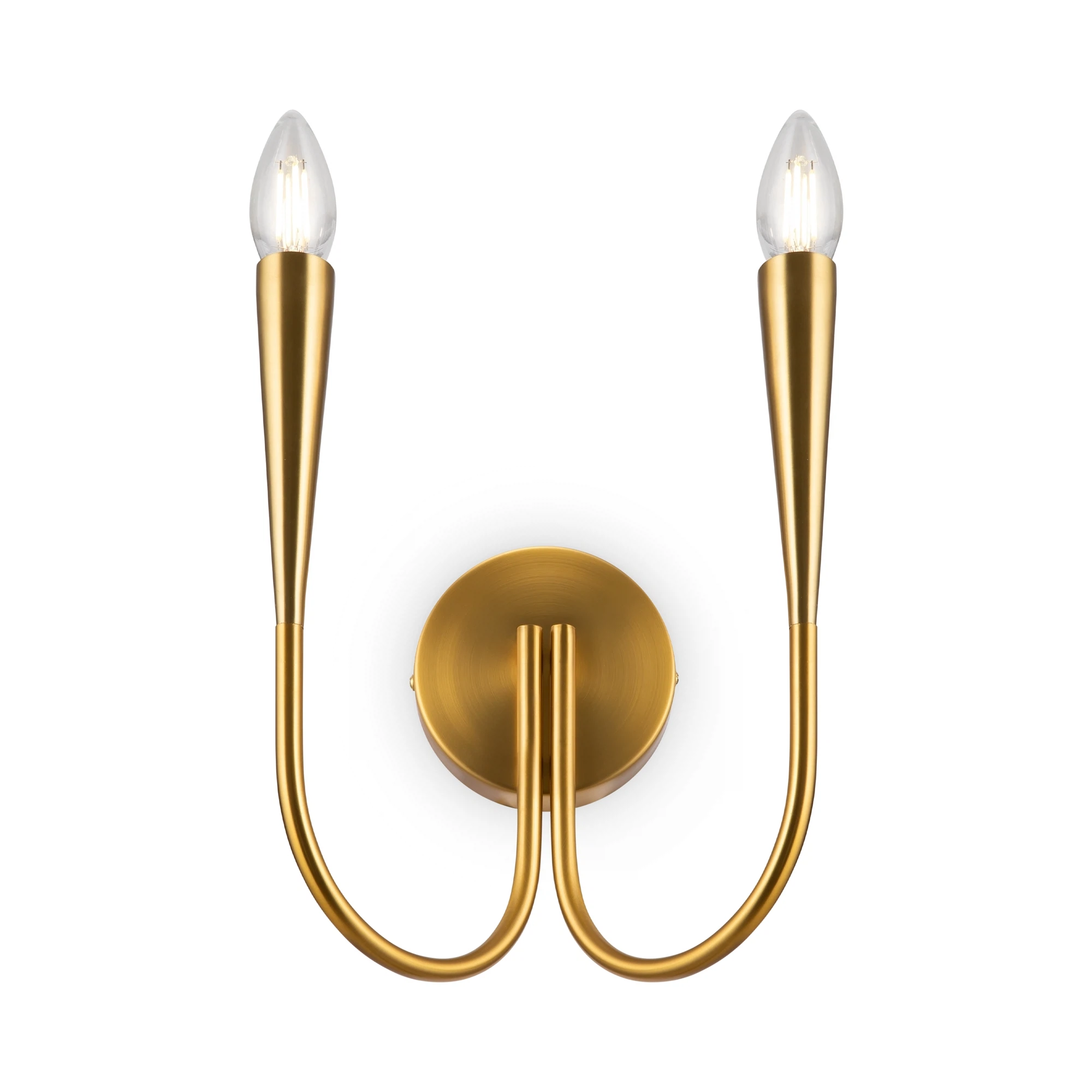 Изображение товара Настенный светильник Freya Branches FR5253WL-02BS стиль модерн для гостиной