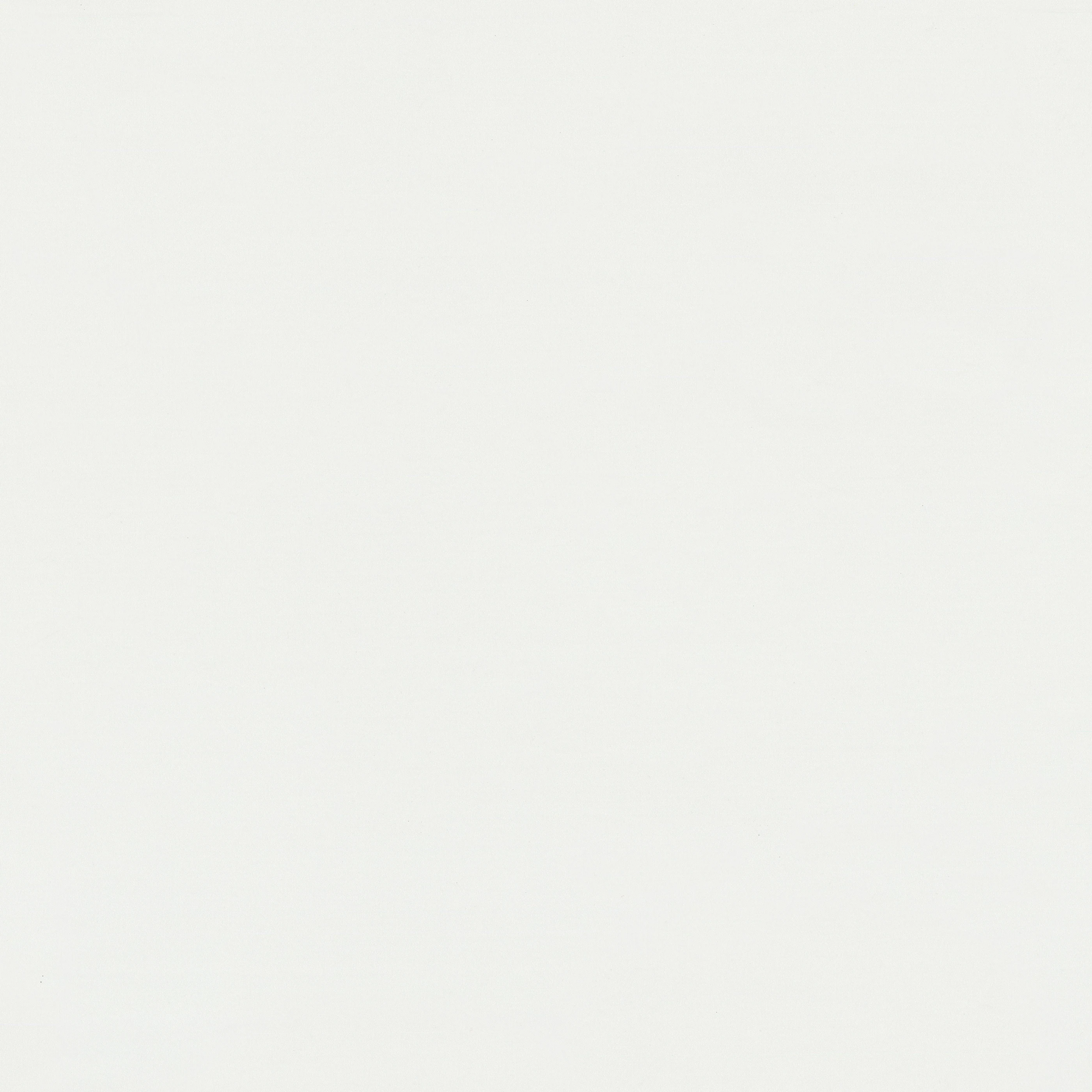 Изображение товара Обои флизелиновые Vernice Monte Solaro белые 10,05x1,06м