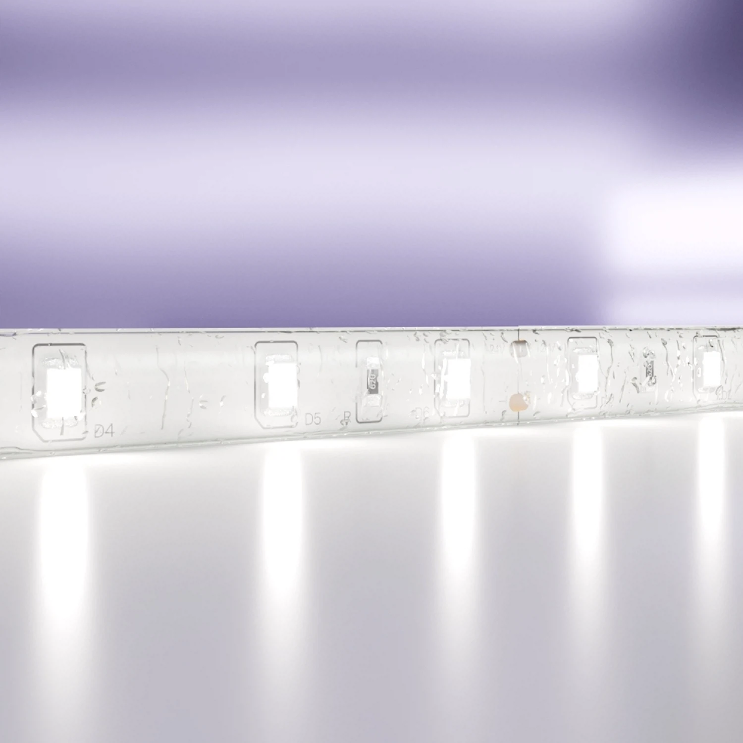 Изображение товара Светодиодная лента Maytoni Led Strip 24В 2835 4,8Вт/м 6000K 5м IP65