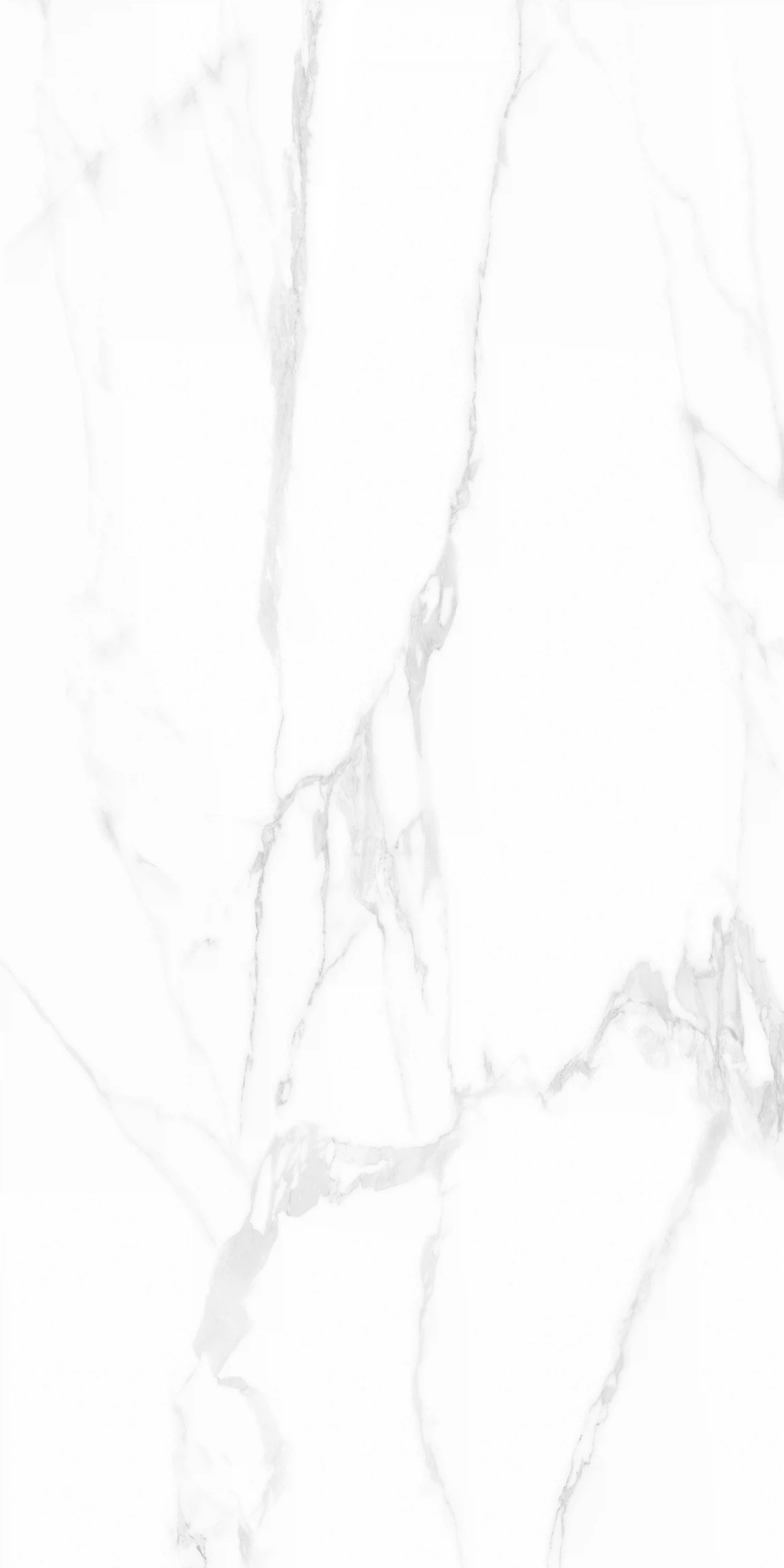 Изображение товара Керамогранит GlobalTile Andrea_GT белый 120x60 см для пола и стен