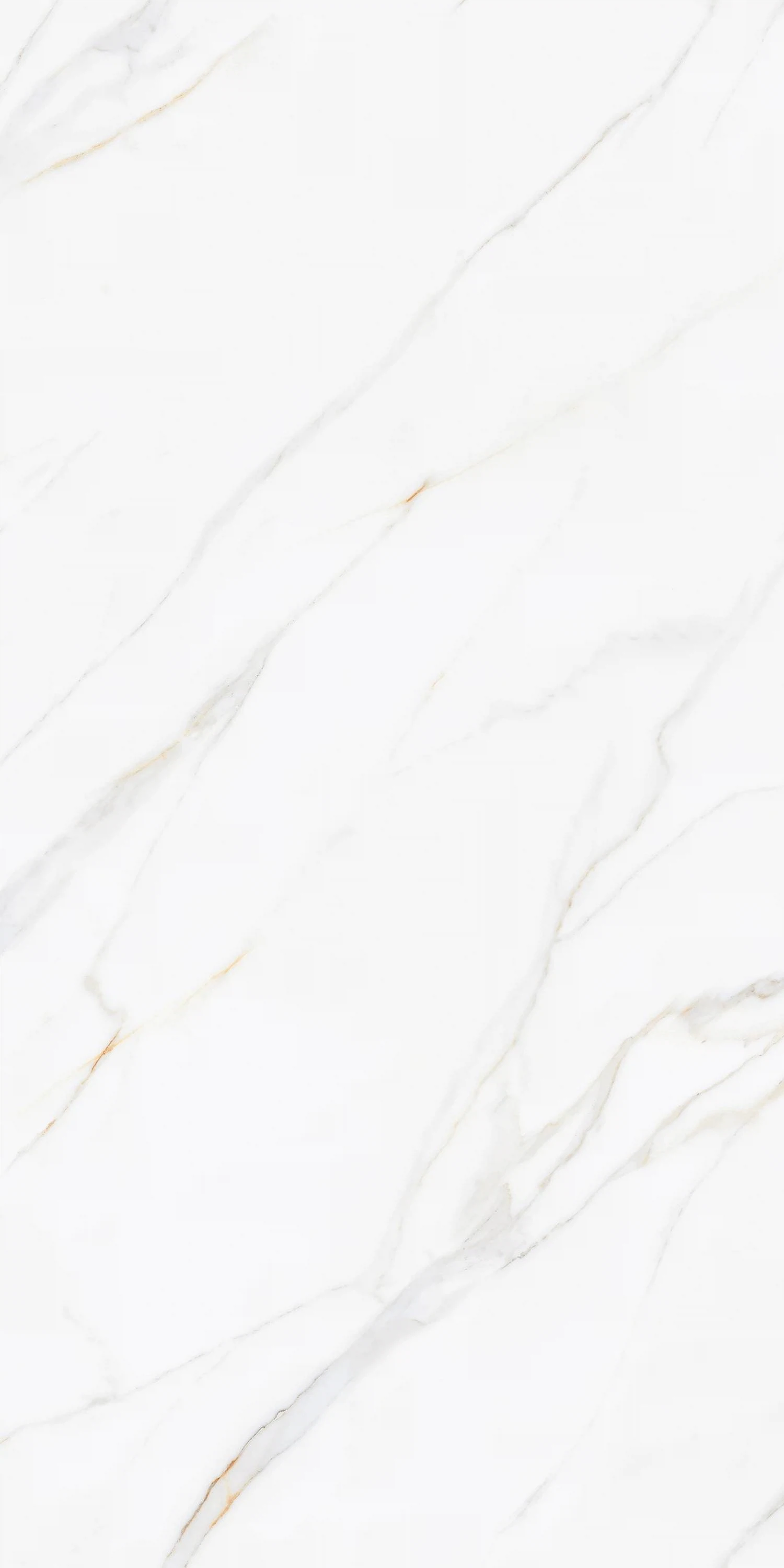 Изображение товара Керамогранит Muscat Silky Matt 60x120 1.44 м2 для пола и стен