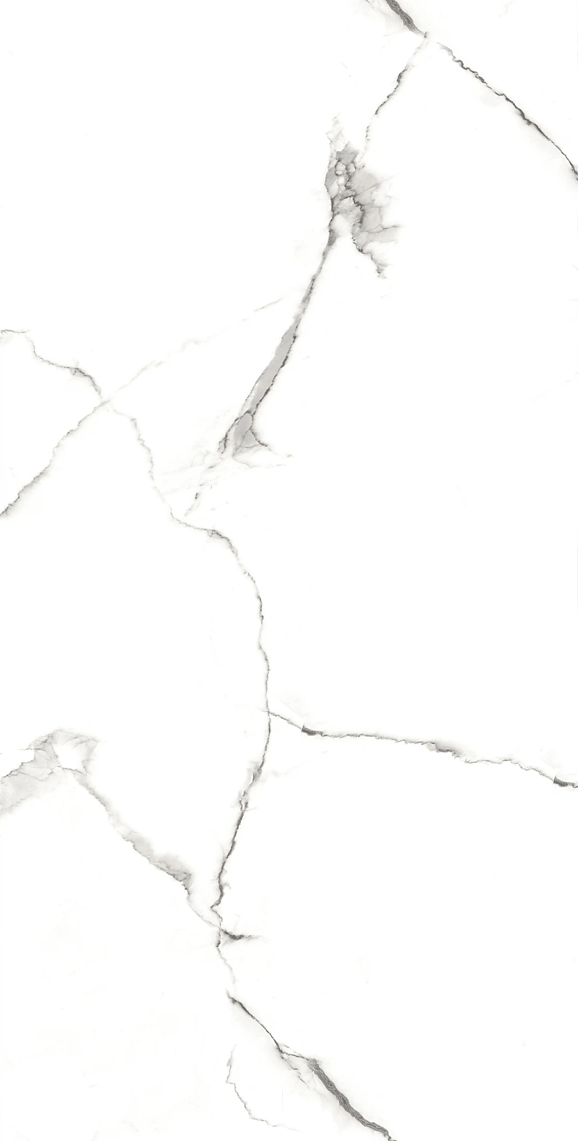 Изображение товара Керамогранит White Marble 60x120 для пола и стен, морозостойкий, глазурованный
