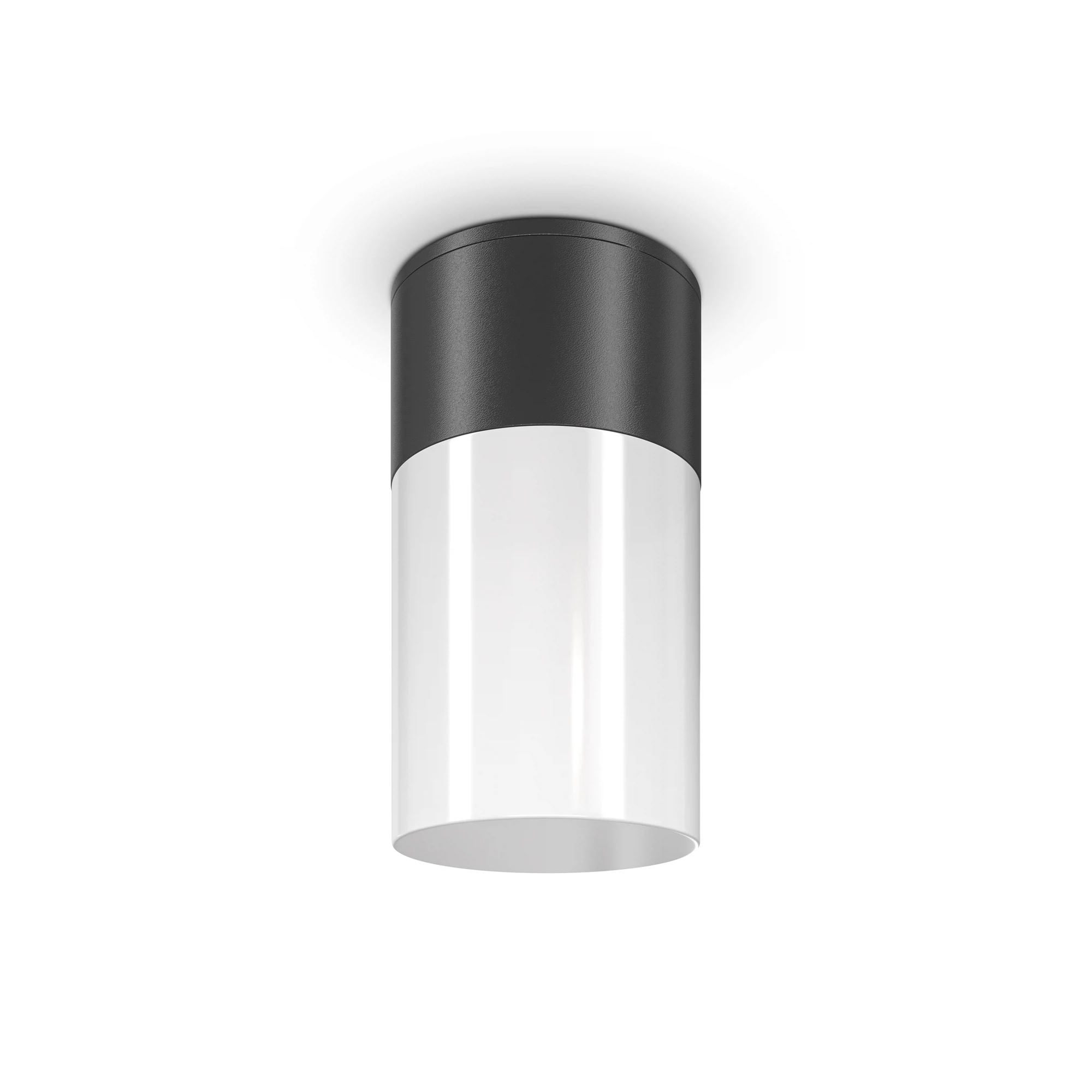 Изображение товара Потолочный уличный светильник Maytoni Outdoor O418CL-01B черный IP54