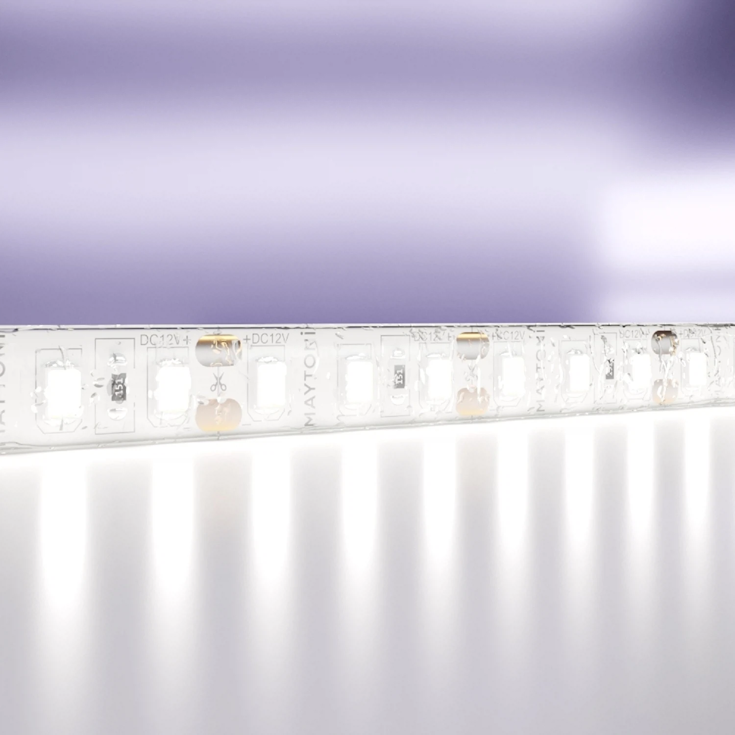 Изображение товара Светодиодная лента Maytoni Led Strip 12В 2835 9,6Вт/м 6000K 5м IP65