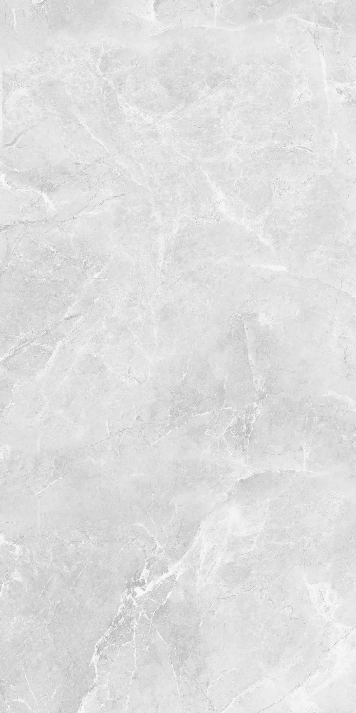 Изображение товара Керамогранит Belleza AMBITION серый 120x60 см, мраморный эффект, для пола и стен