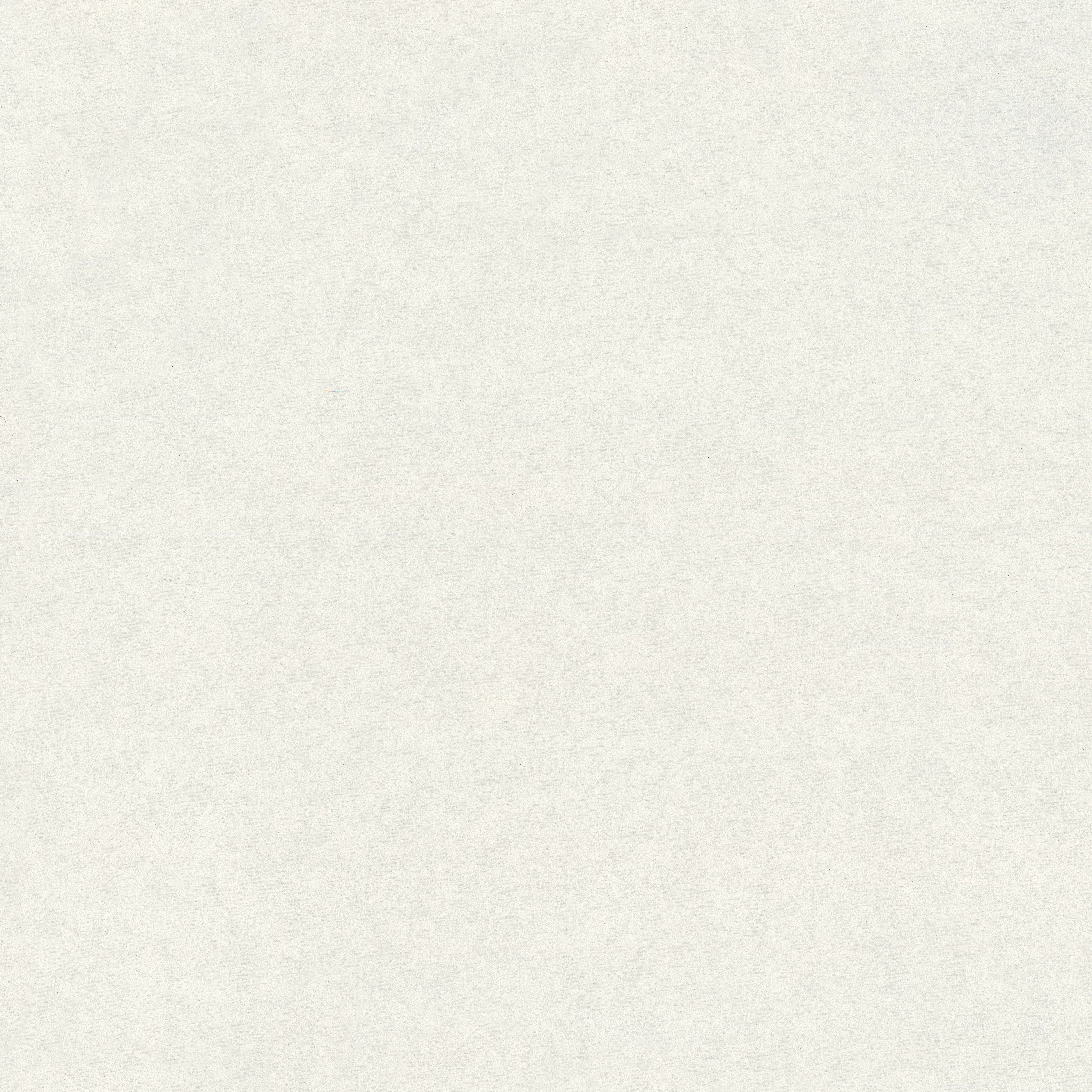 Изображение товара Обои флизелиновые Era 2 Euro Decor, белые, 1,06*10,05м, 7309-00