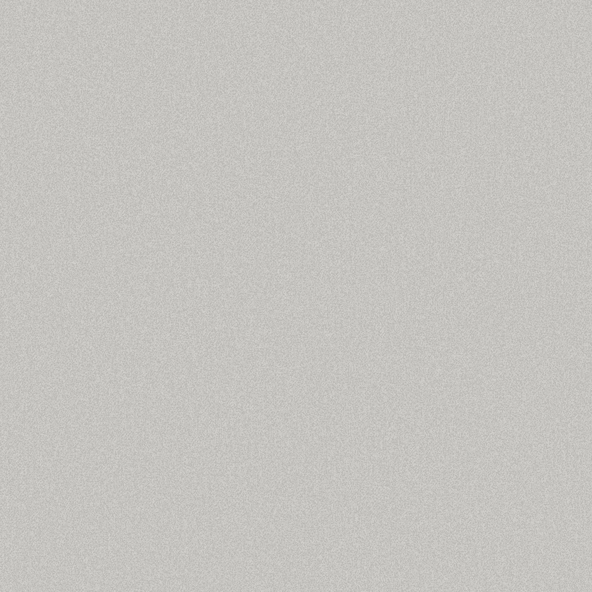 Изображение товара Обои флизелиновые Wallsecret Карелия пепельный 10,05x1,06м., 9136-03