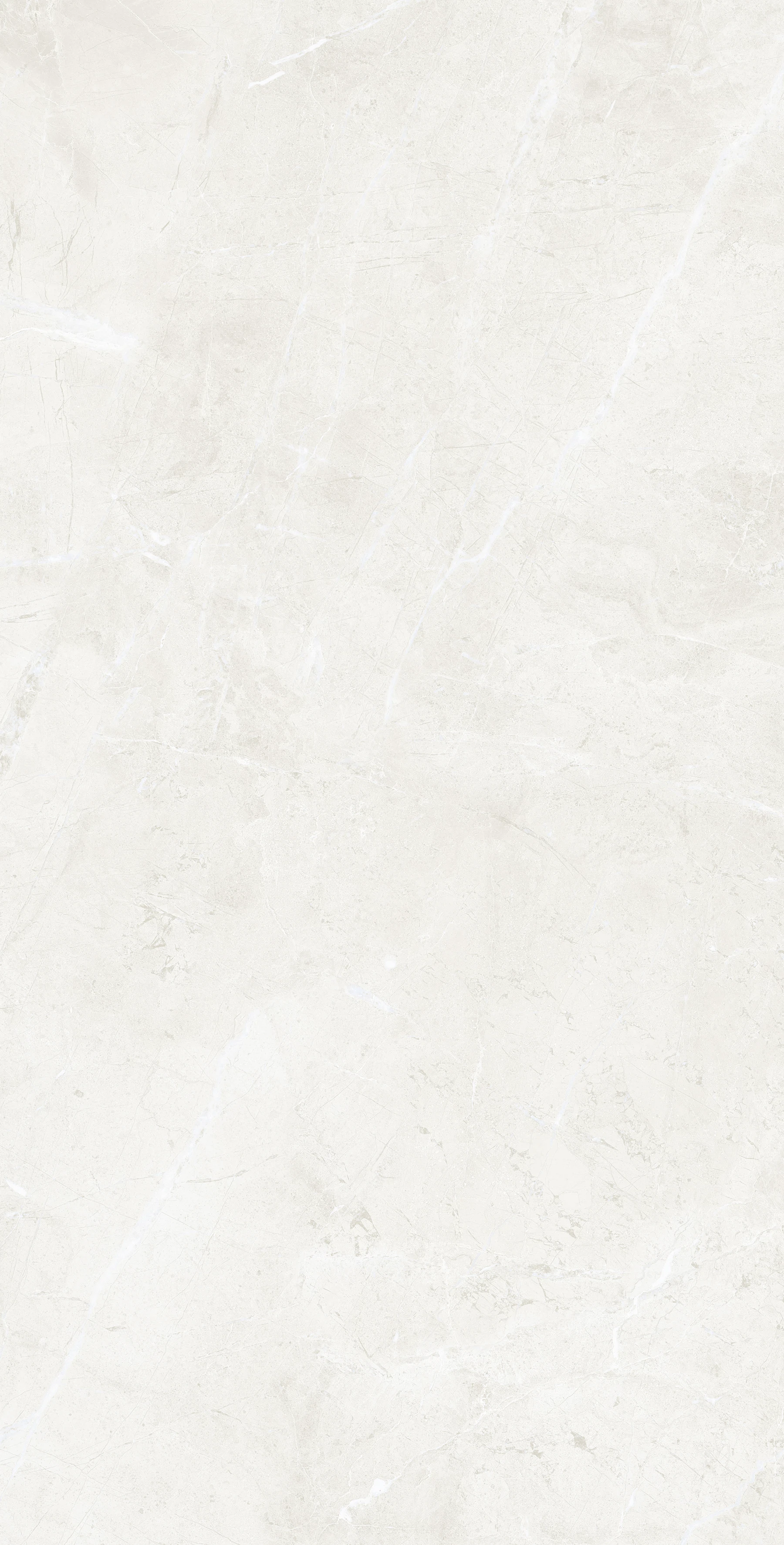 Изображение товара Керамогранит Arcadia Ceramica FLORENCIA BIANCO 120x60 см