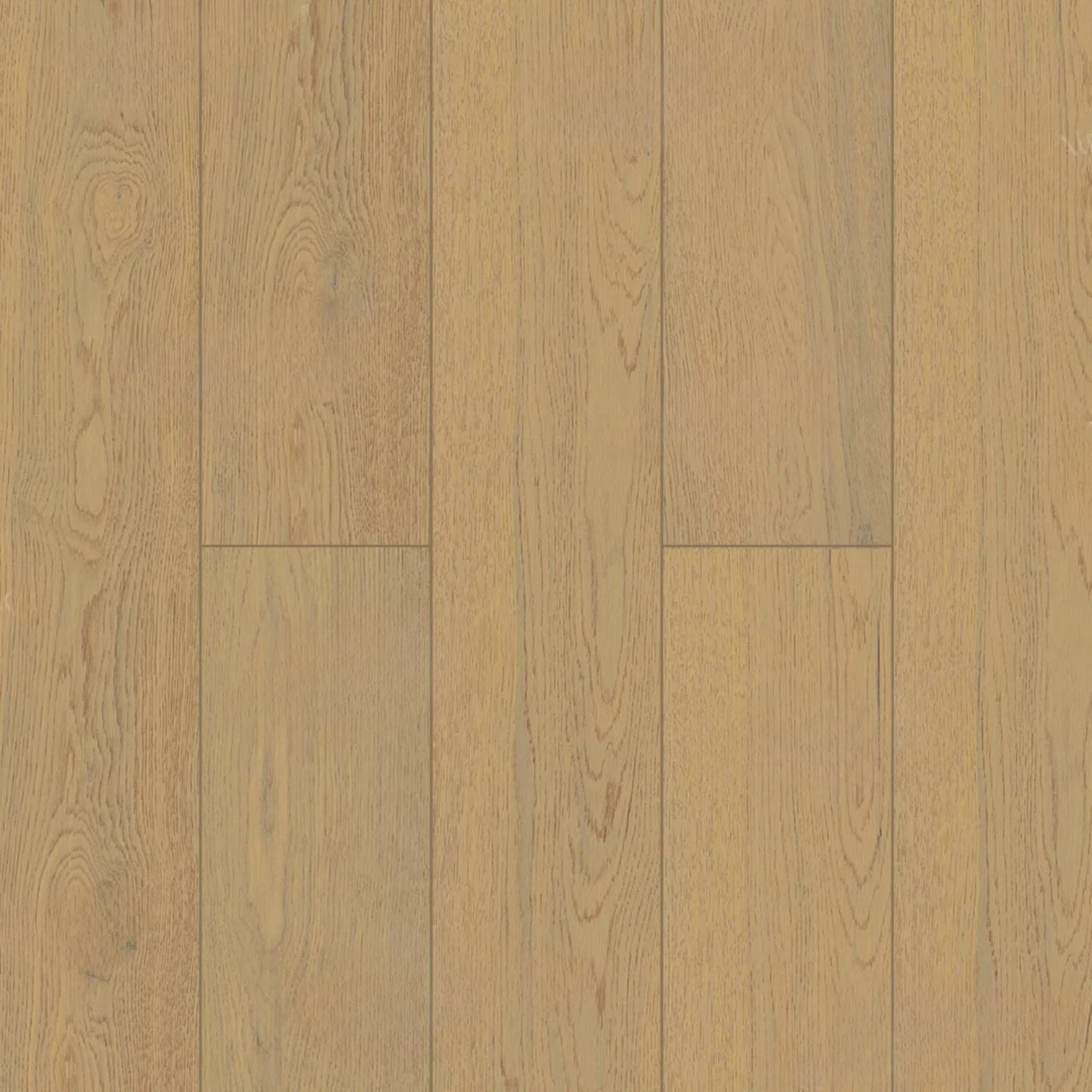 Изображение товара Инженерная доска Alpine Floor Studio дуб Грей, 1200х145х12мм без фаски, лак