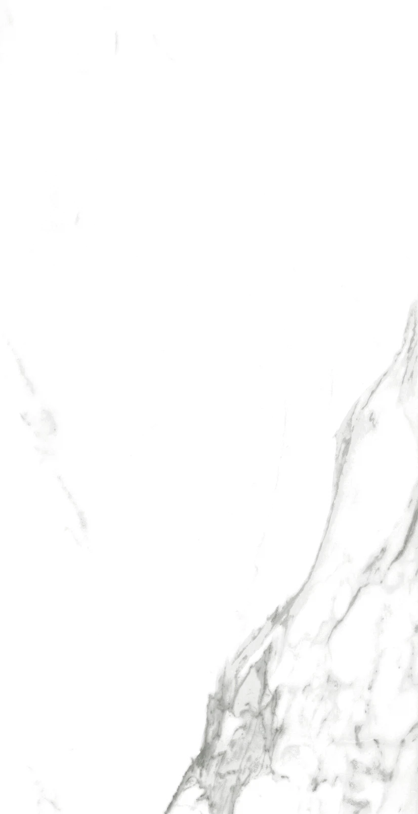 Изображение товара Керамогранит Carrara X Satin 60x120 для интерьера