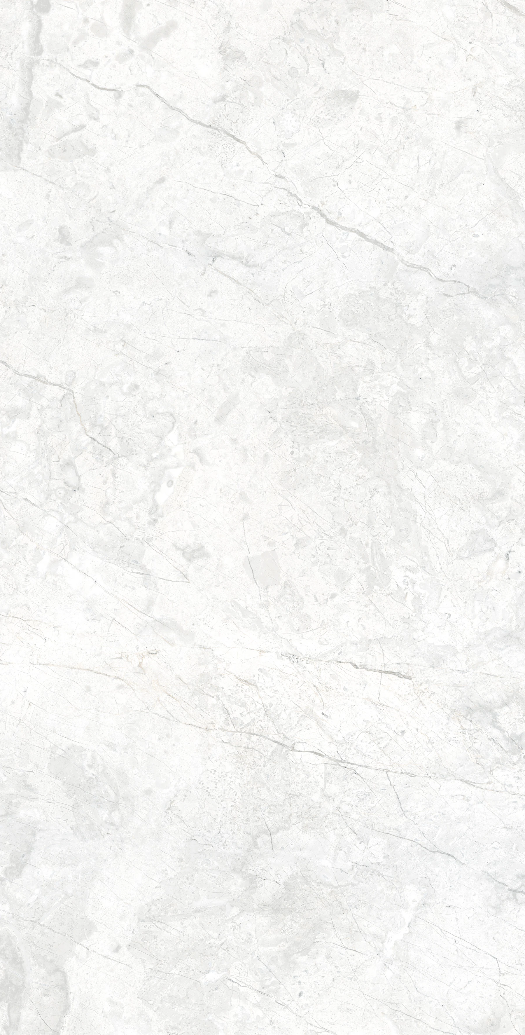 Изображение товара Керамогранит Arcadia Ceramica MARCUS BIANCO 60x120 см для пола и стен