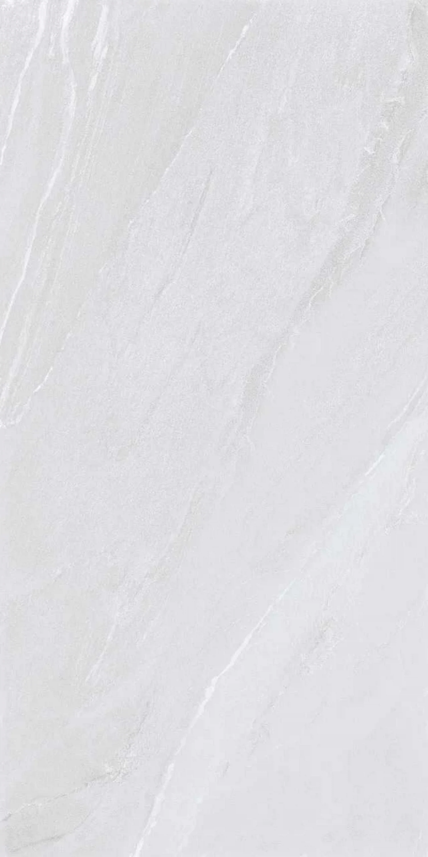 Изображение товара Керамогранит PEZZI BIANCO 60x120 с текстурой под камень матовая Россия