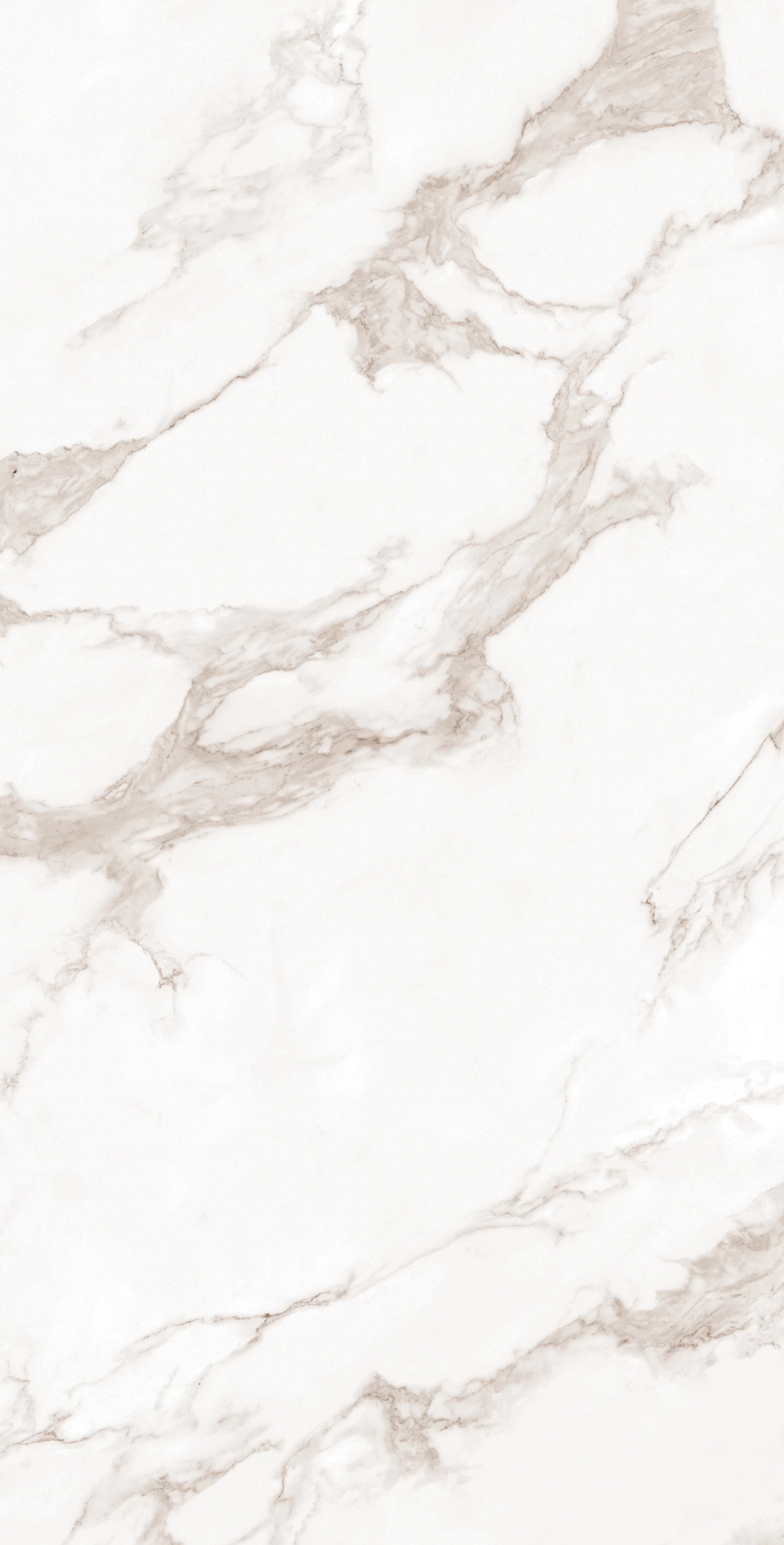 Изображение товара Керамогранит Arcadia Ceramica CALACATTA BIANCO 60x120 см для пола и стен