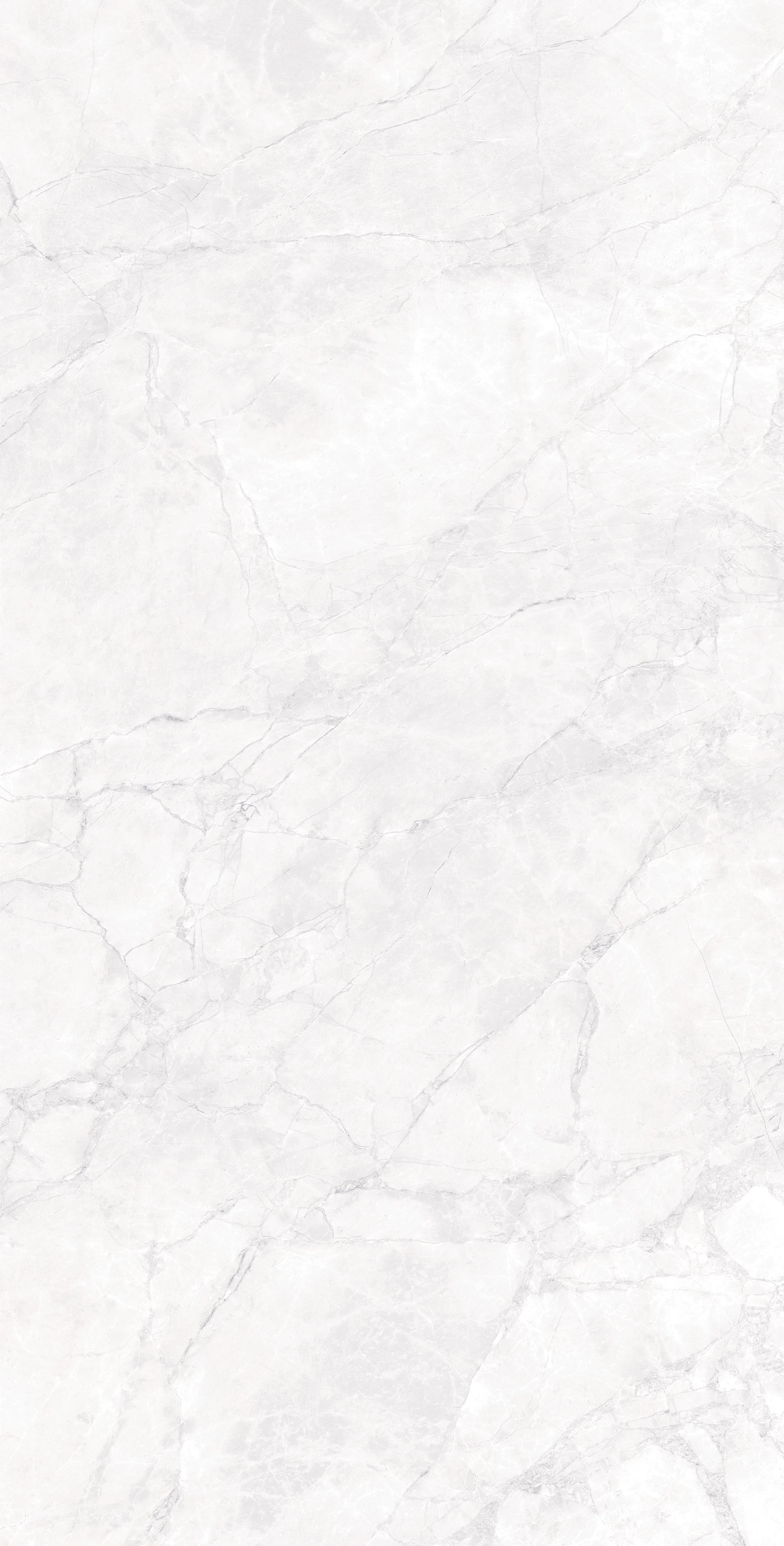 Изображение товара Керамогранит ARCTIC WHITE 120х60 см светло-серый для пола и стен