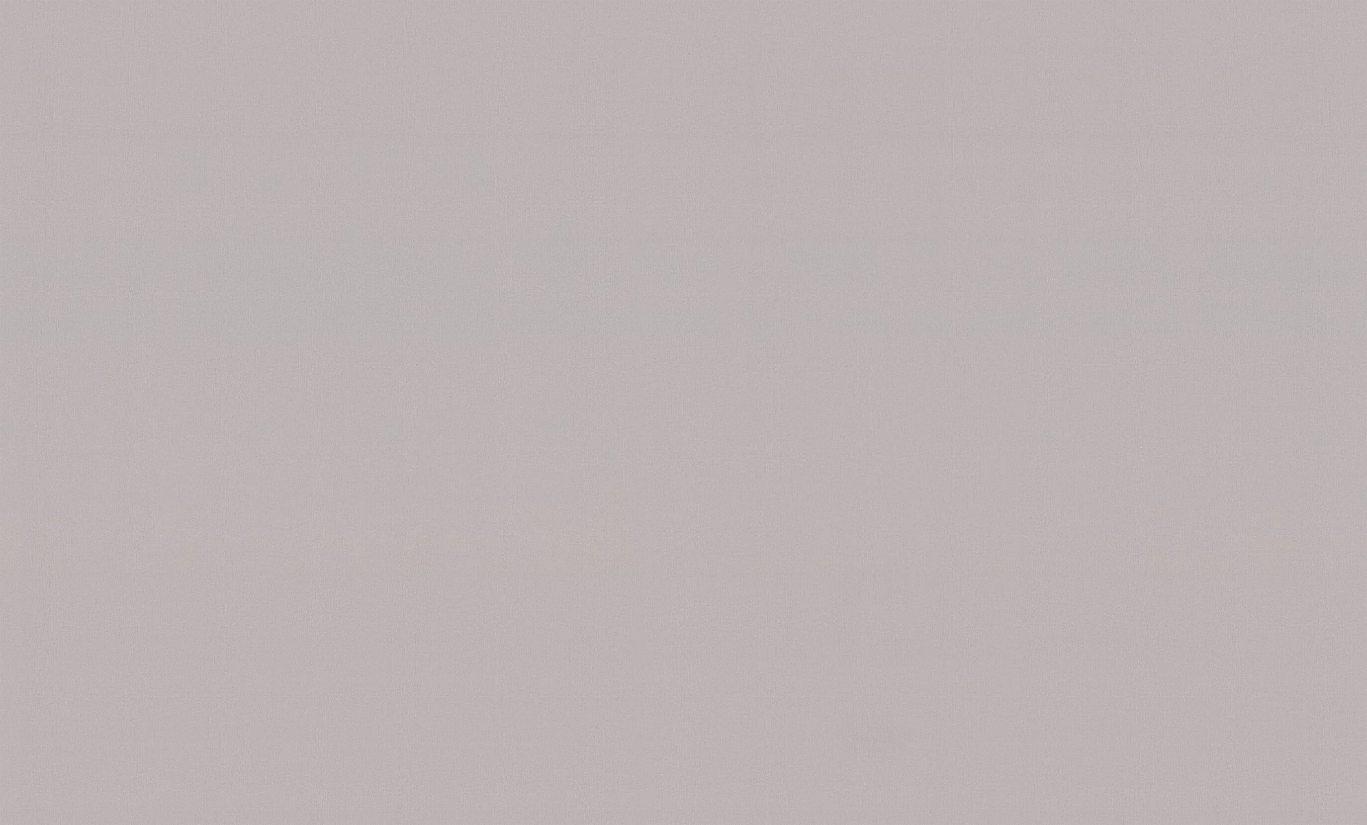 Изображение товара Обои флизелиновые PALITRA life Magnolia коричневые 10м