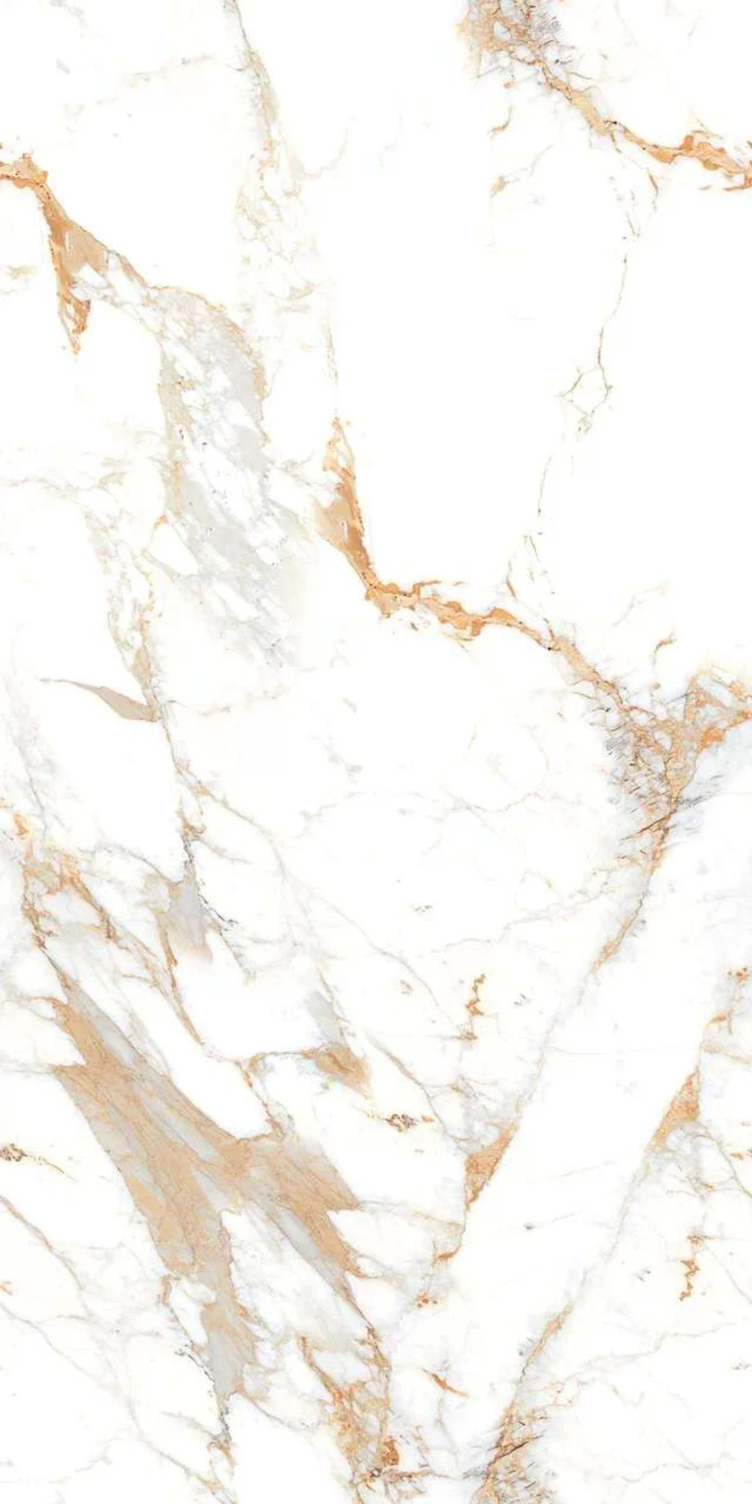 Изображение товара Керамогранит ROMAN BROWN AUTHENTIC 60х120 от Belleza для интерьера и фасадов