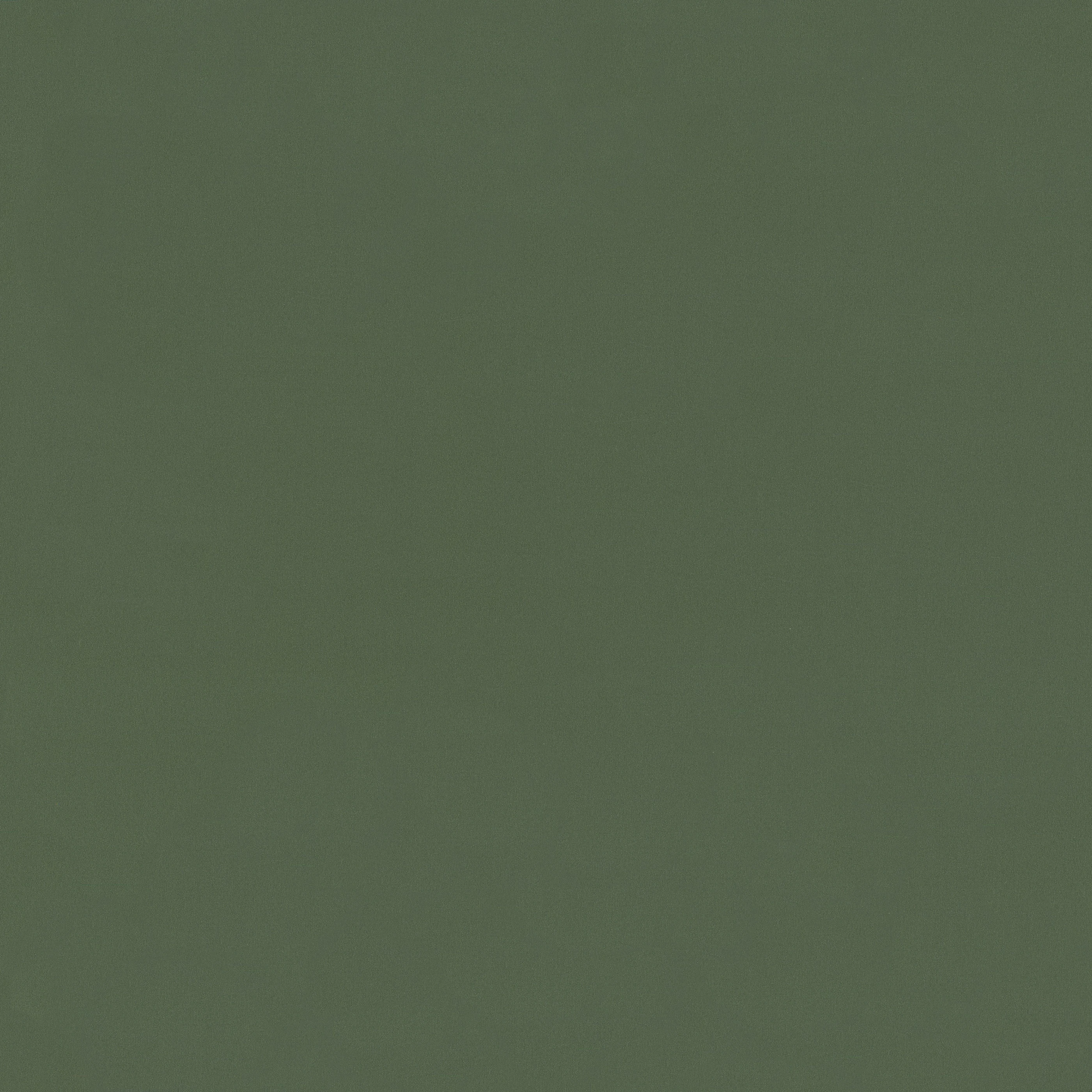 Изображение товара Обои флизелиновые Vernice Monte Solaro, зеленые, 10,05x1,06м., 9310-06