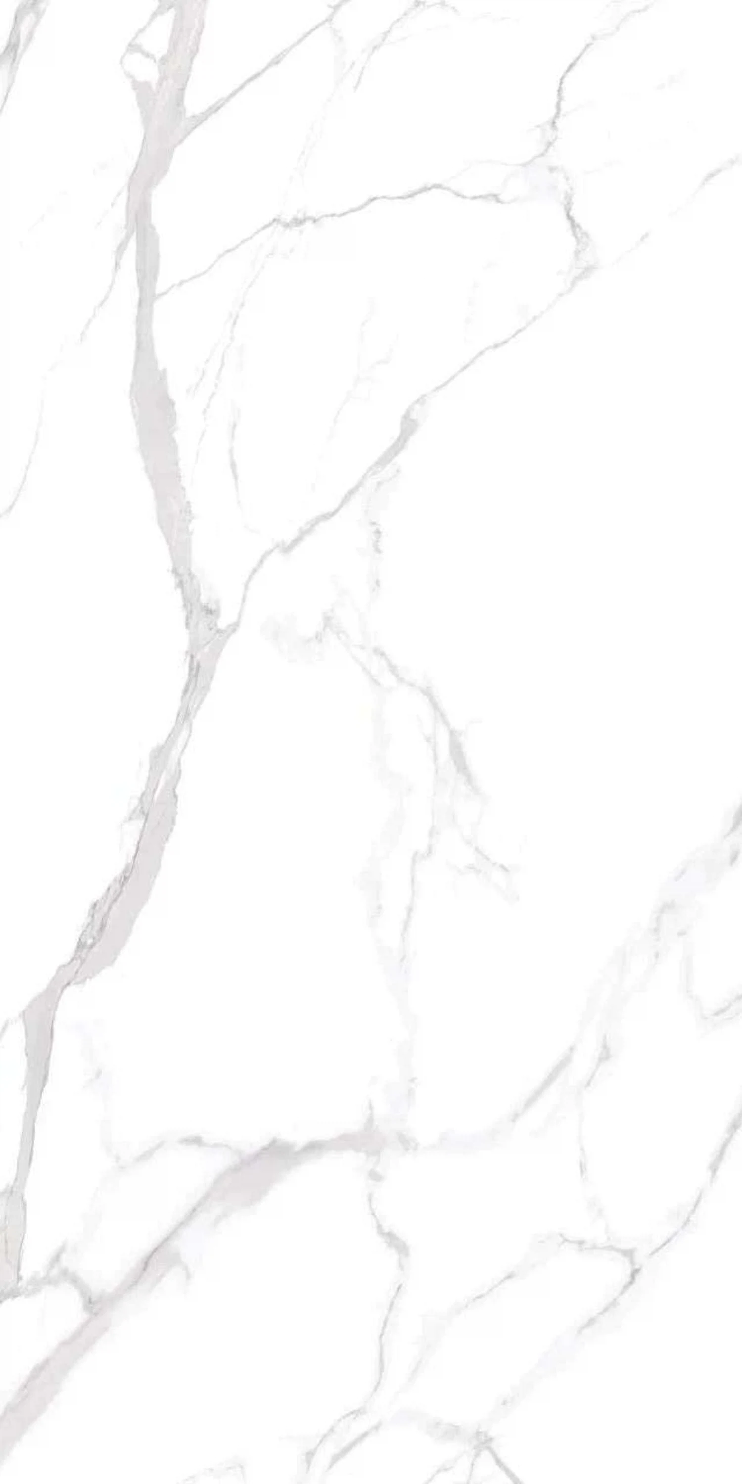 Изображение товара Керамогранит DESPRO STATUARIO AUTHENTIC 60x120 белый глянцевый для пола и стен