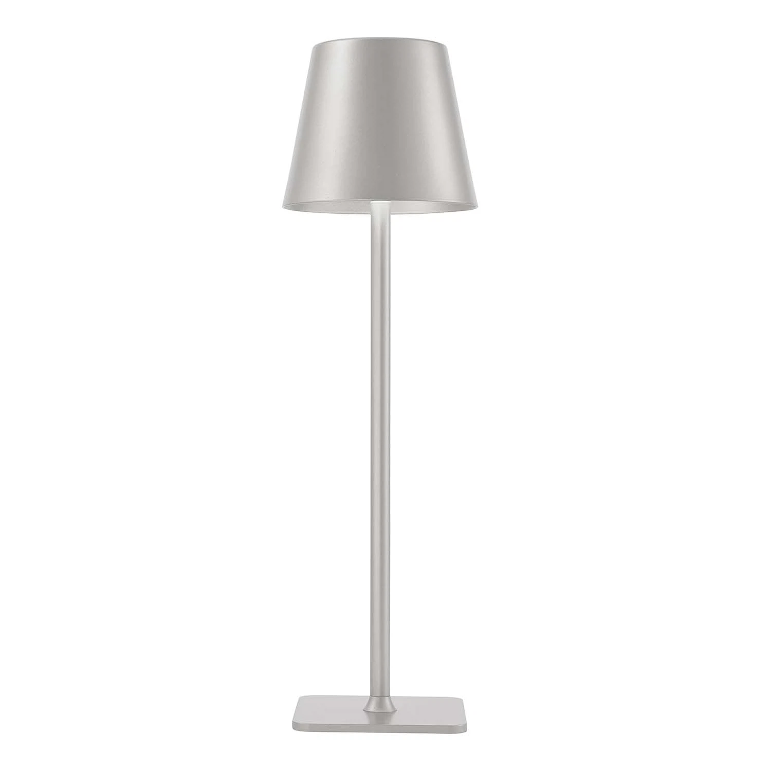 Изображение товара Настольная LED-лампа Favourite 3W без крепления серый цвет