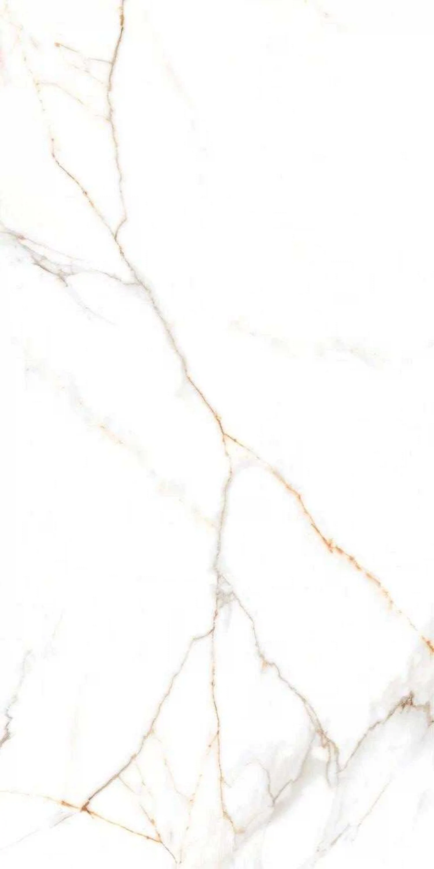 Изображение товара Керамогранит AUSTRAIN NATURAL GLOSSY 60х120 для пола и стен белый Россия