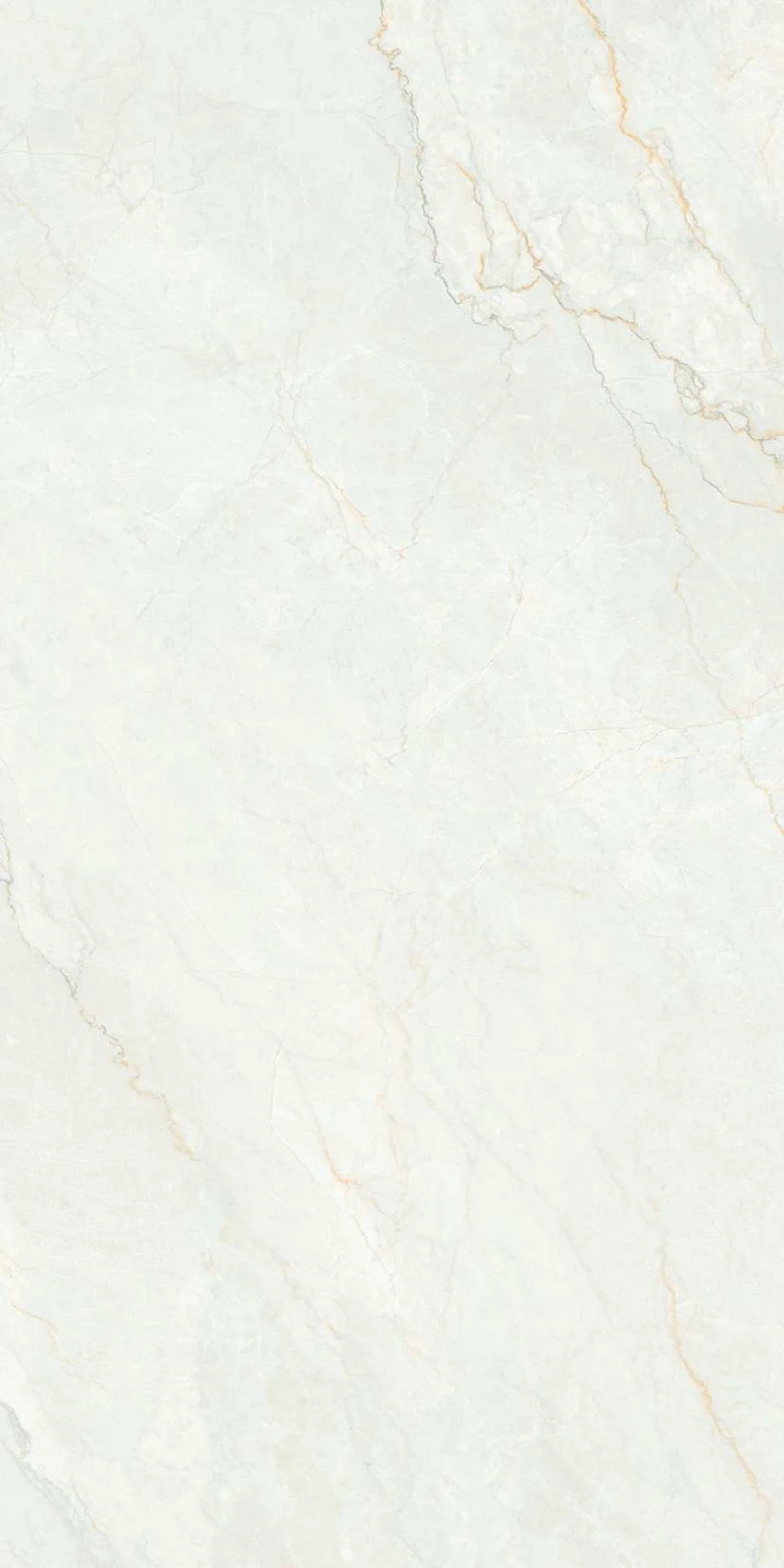 Изображение товара Керамогранит Belleza RC ROMAN ORO 2P GV (FEATHER TOUCH) 60х120