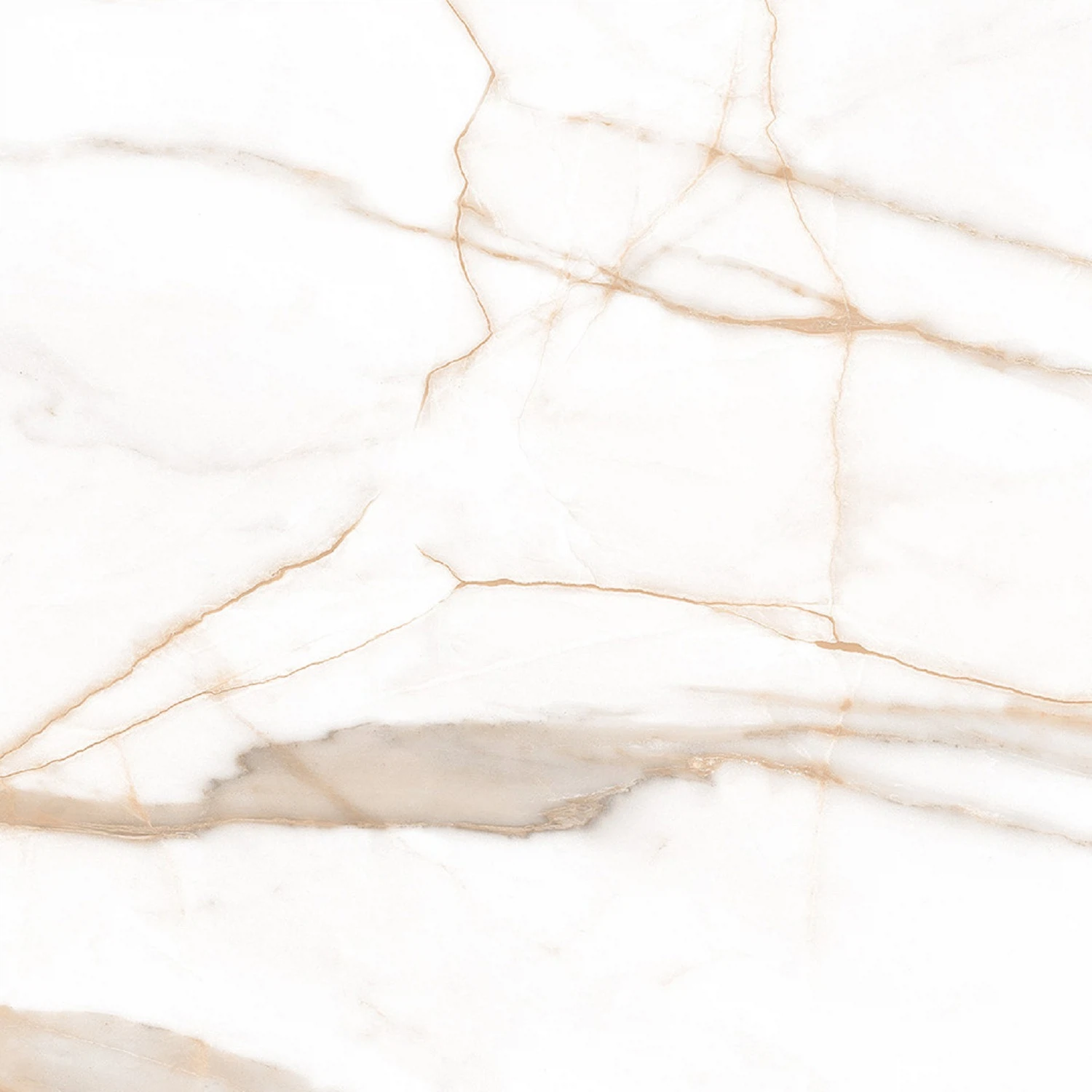 Изображение товара Керамогранит Ceradim Calacatta Goddes Gold 60x60 см белый глянцевый