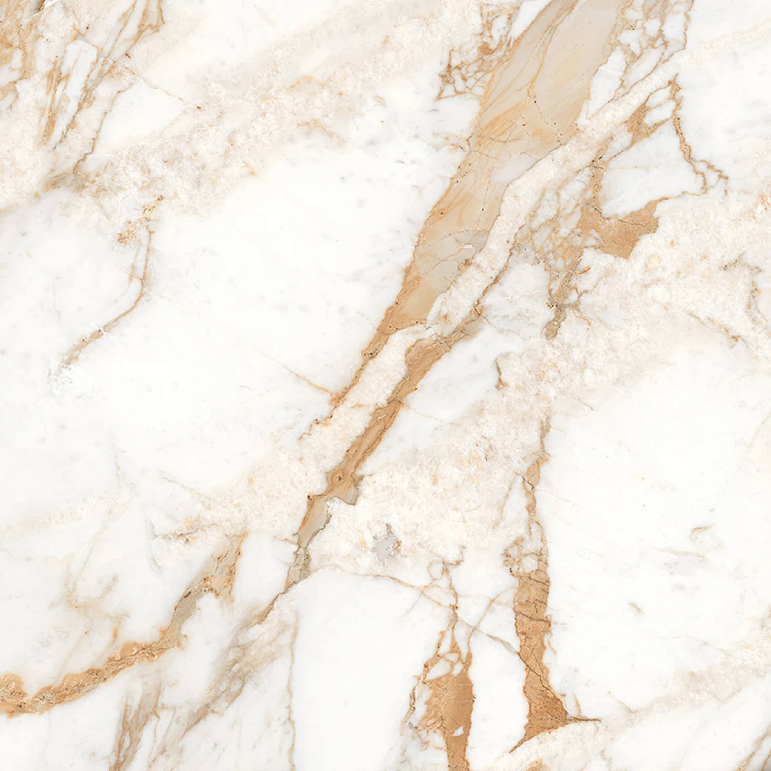 Изображение товара Керамогранит Calacatta Oro золотой 60x60 полированный