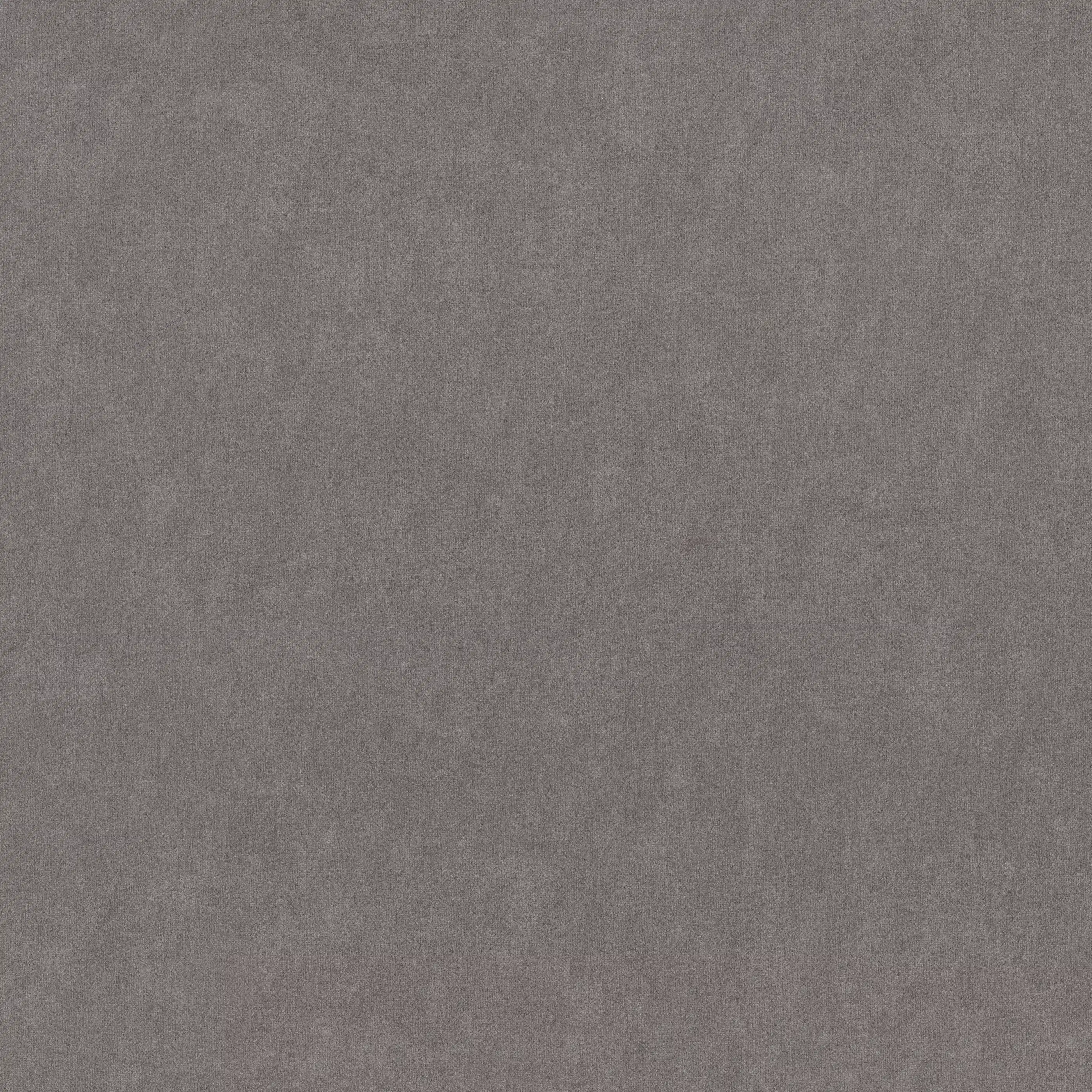 Изображение товара Обои флизелиновые Solum Euro Decor коричневые 1,06х10,05м