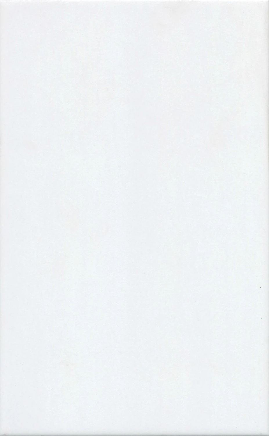 Изображение товара Плитка настенная 25х40 Ломбардиа белый Kerama Marazzi арт 6397