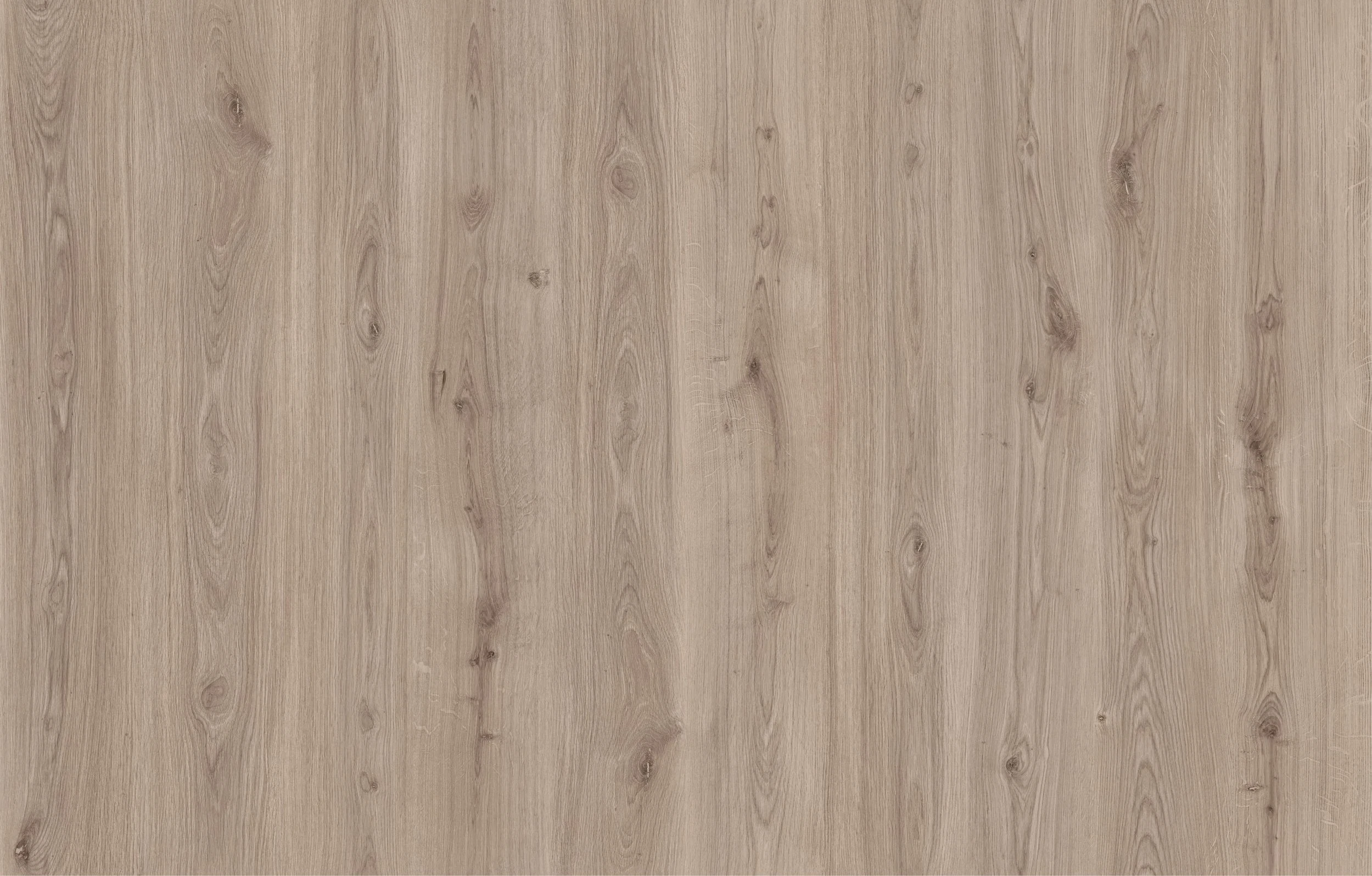 Изображение товара Ламинат 33 класс 8 мм Дуб Регинас