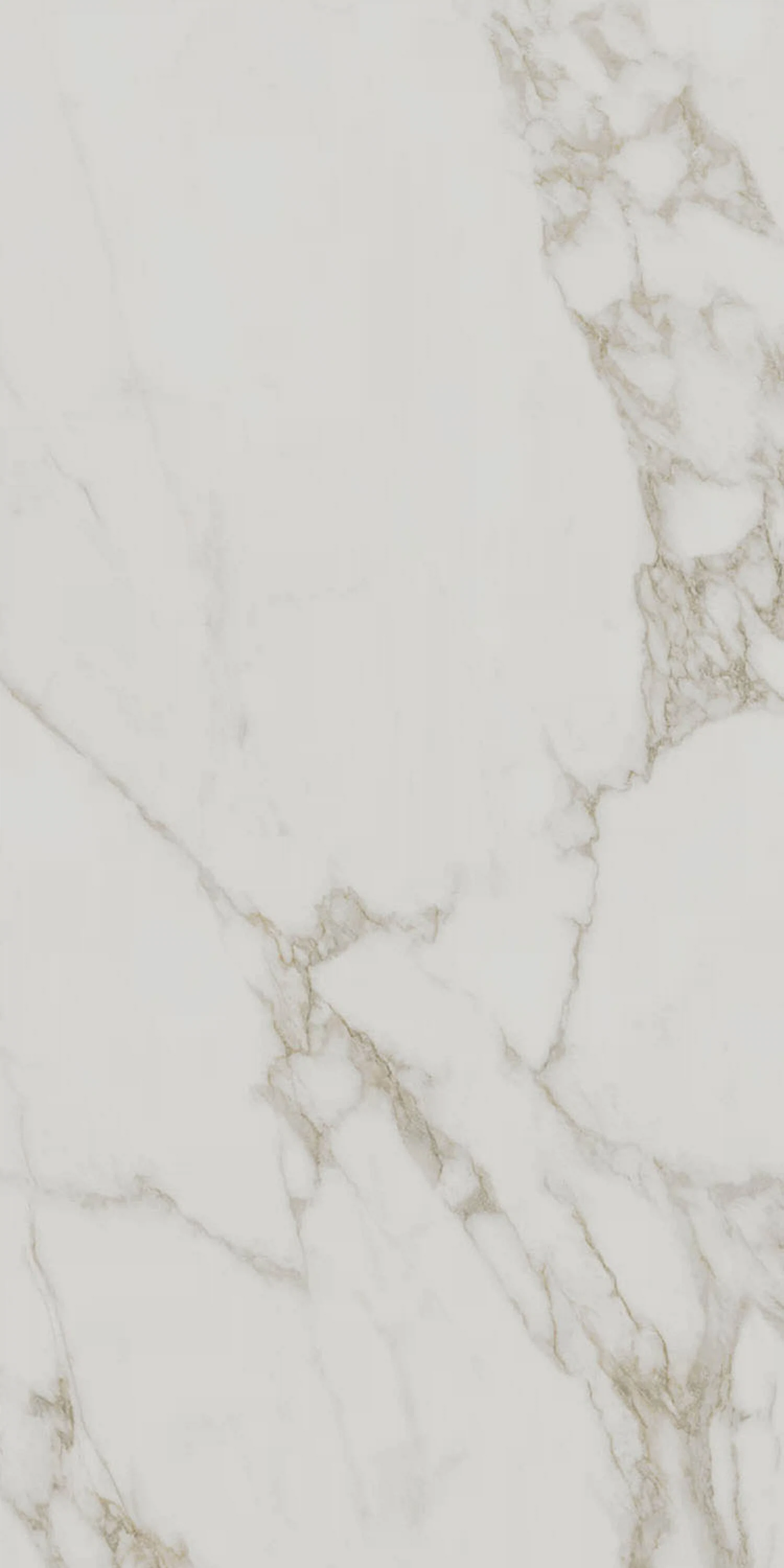 Изображение товара Керамогранит Kerama Marazzi Монте Тиберио Серый 60x119.5 см для пола, мраморный эффект