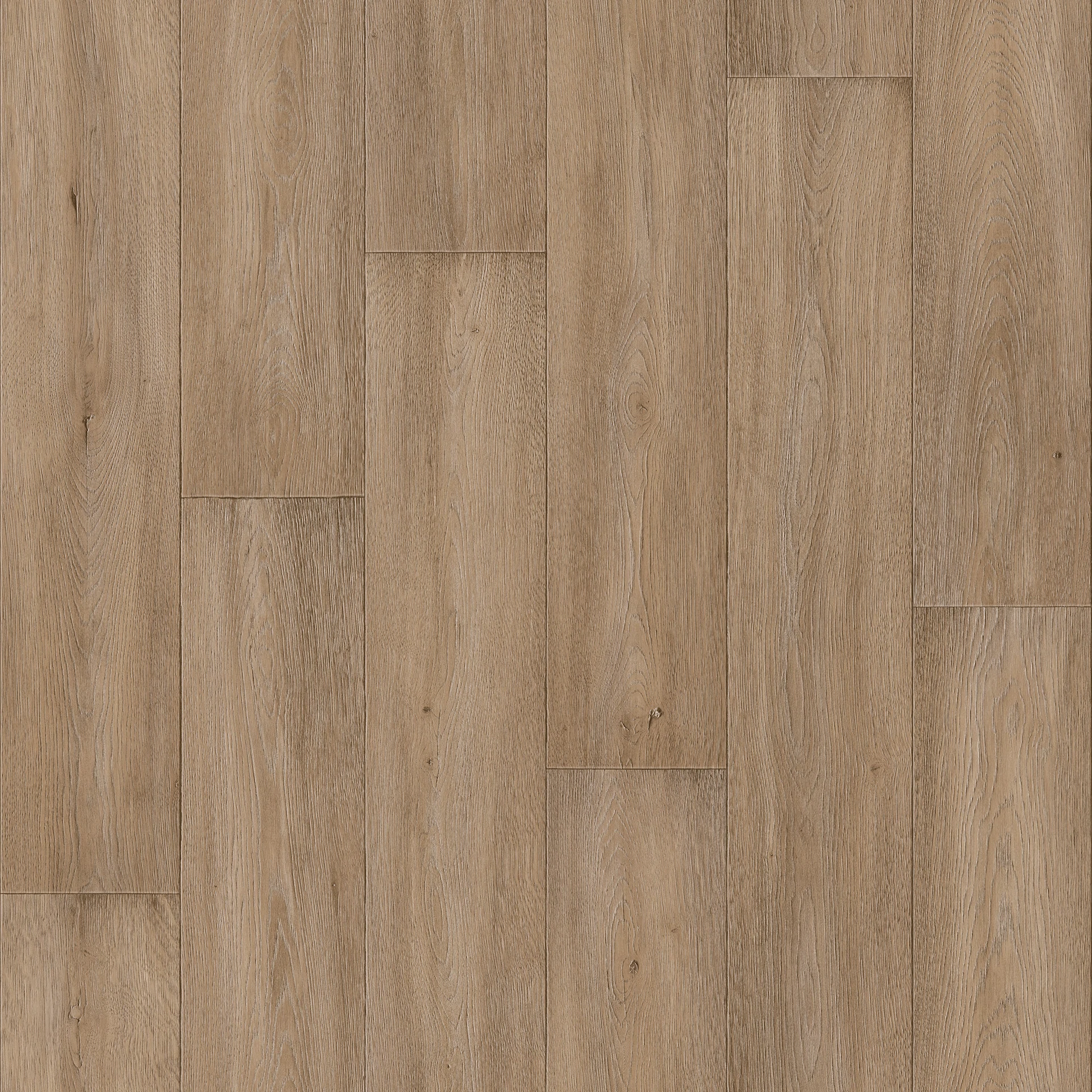 Изображение товара Полукоммерческий линолеум Актива R APOLLO 2 ширина 4м для дома и офиса