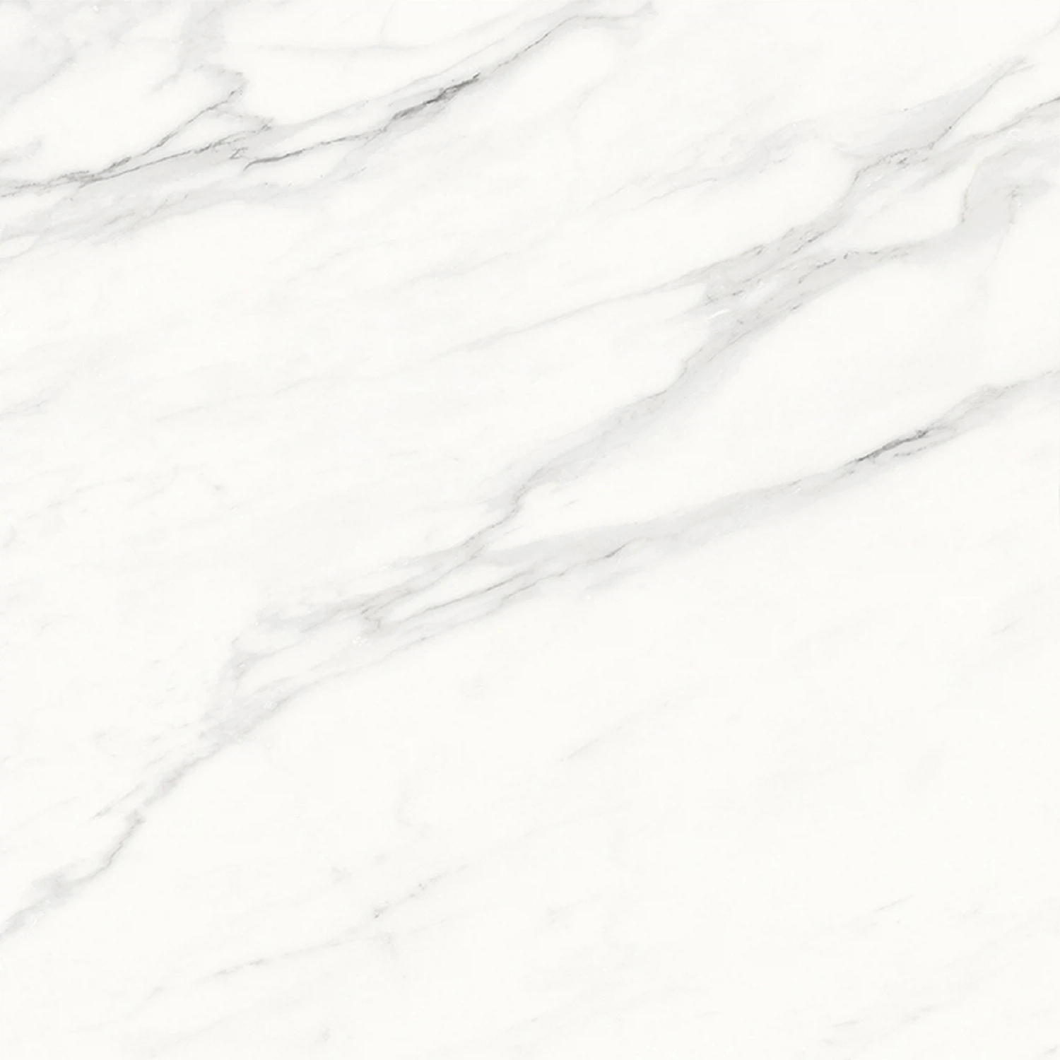 Изображение товара Керамогранит Calacatta Superb 60x60 см Белый матовый для пола и стен
